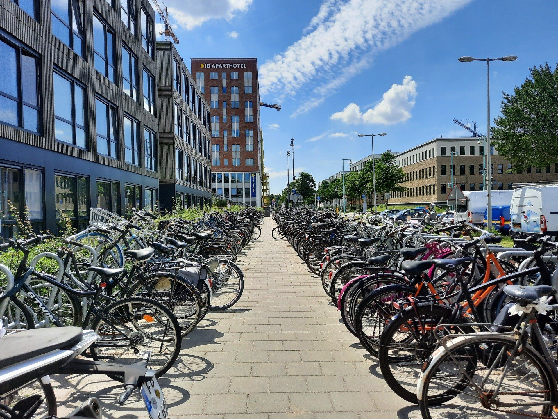 Rows of bicycles parked on a paved pathway, with modern buildings and a blue sky in the background.