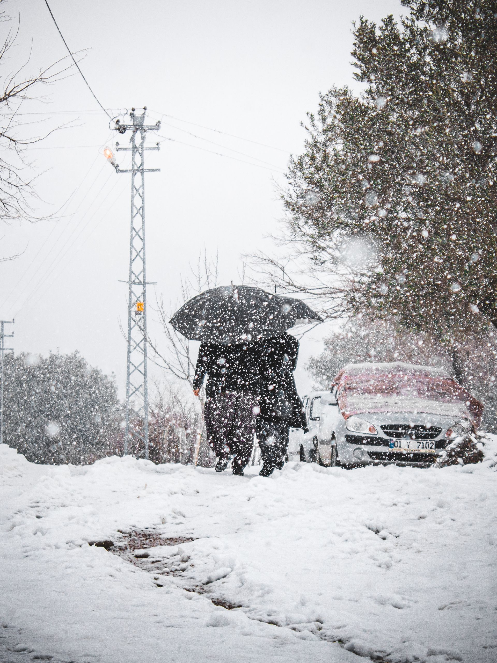 Two person with an umbrella walking in the snow