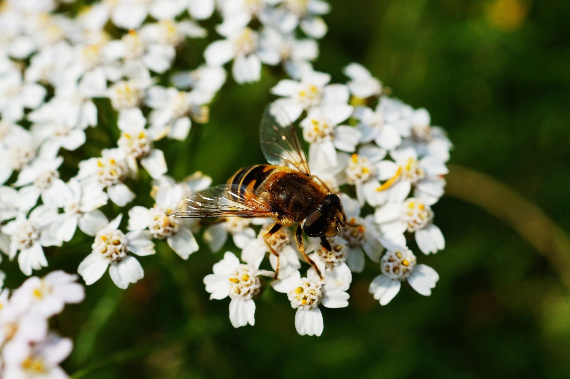 Symbolfoto (George Becker, https://www.pexels.com/@eye4dtail)