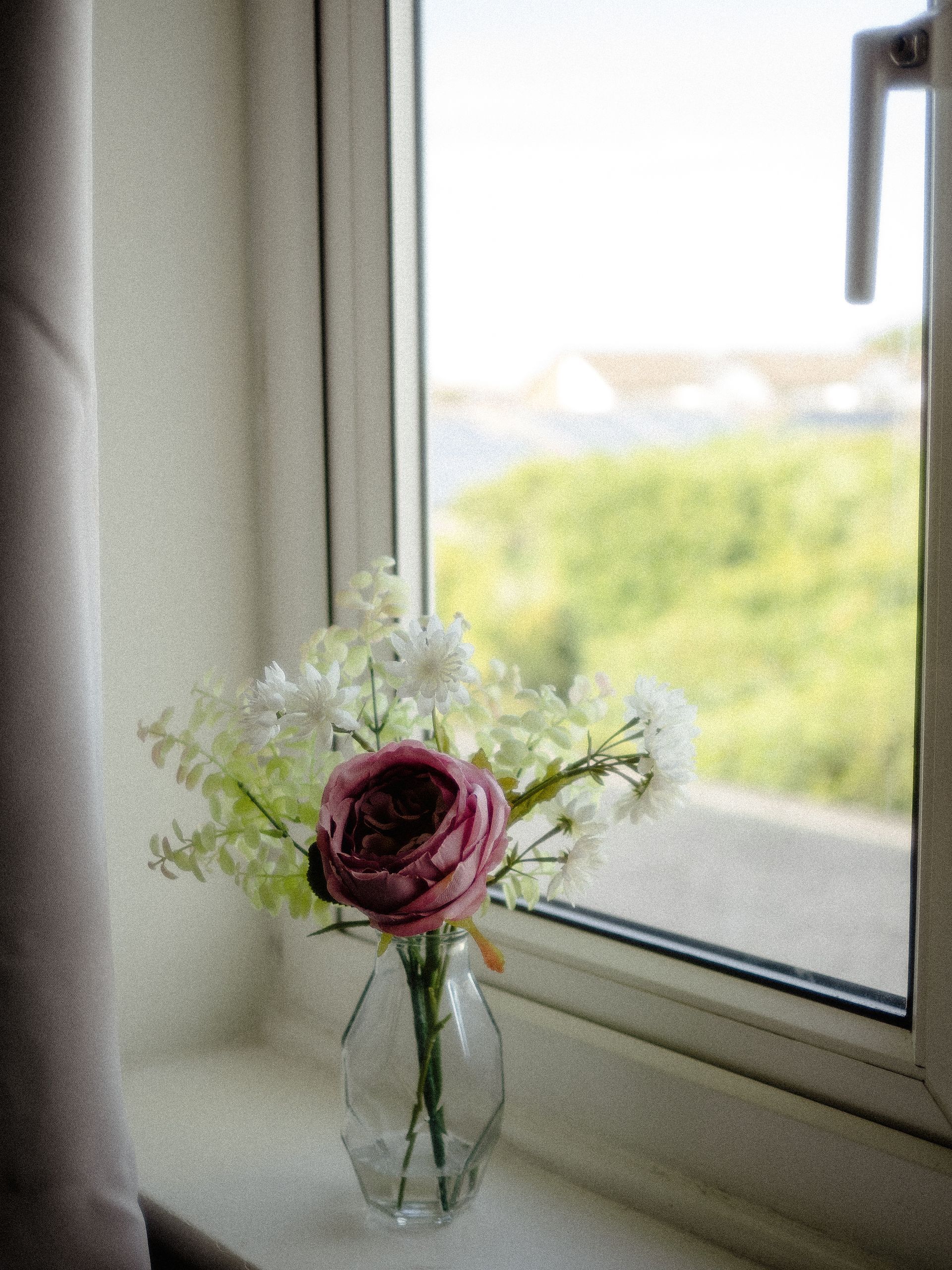 Bloom My House, DIY flowers