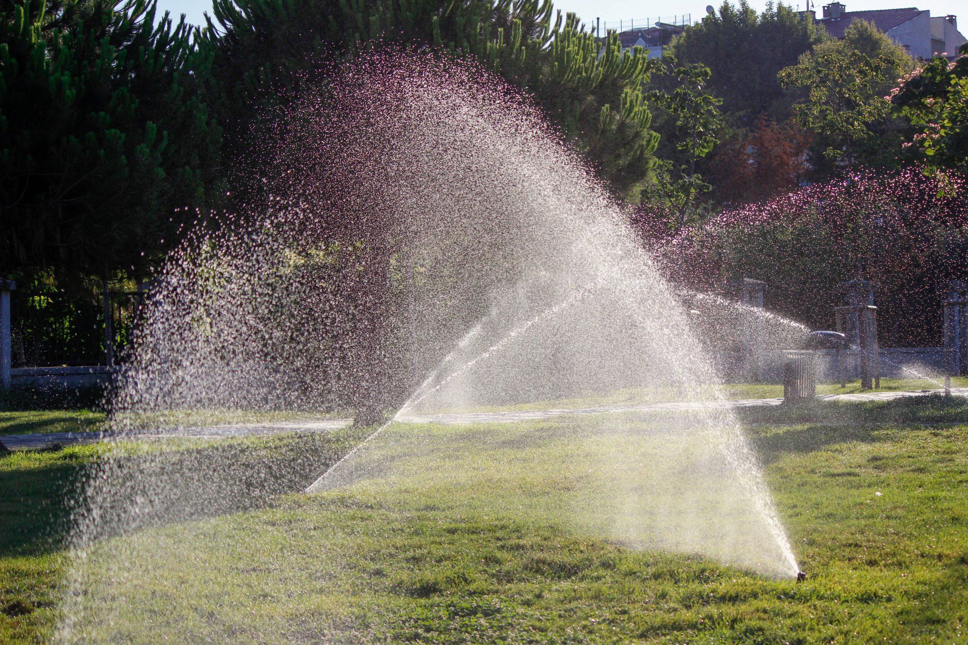 A sprinkler is spraying water on a lush green field.