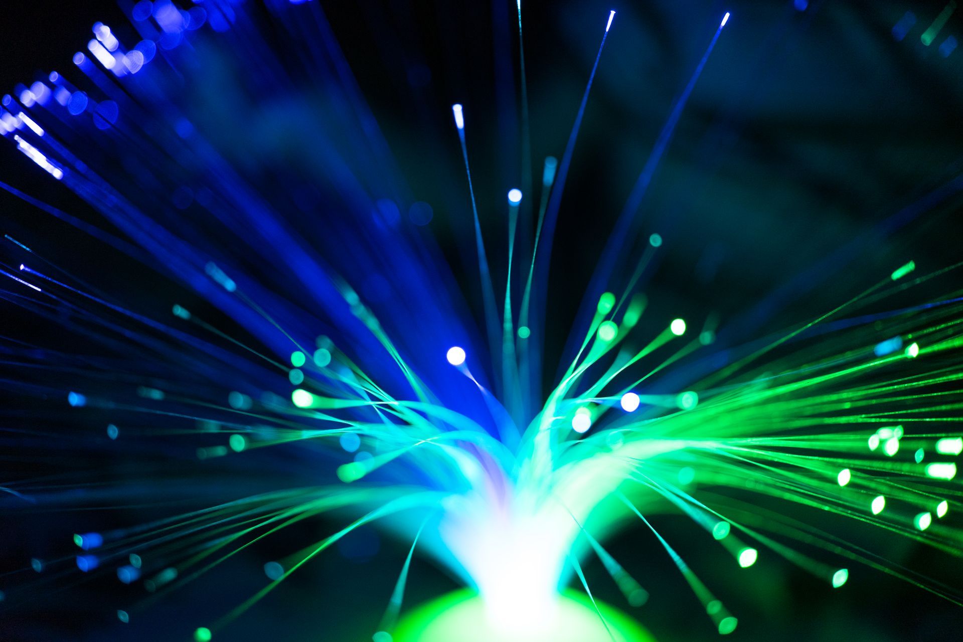 Fiber Optic