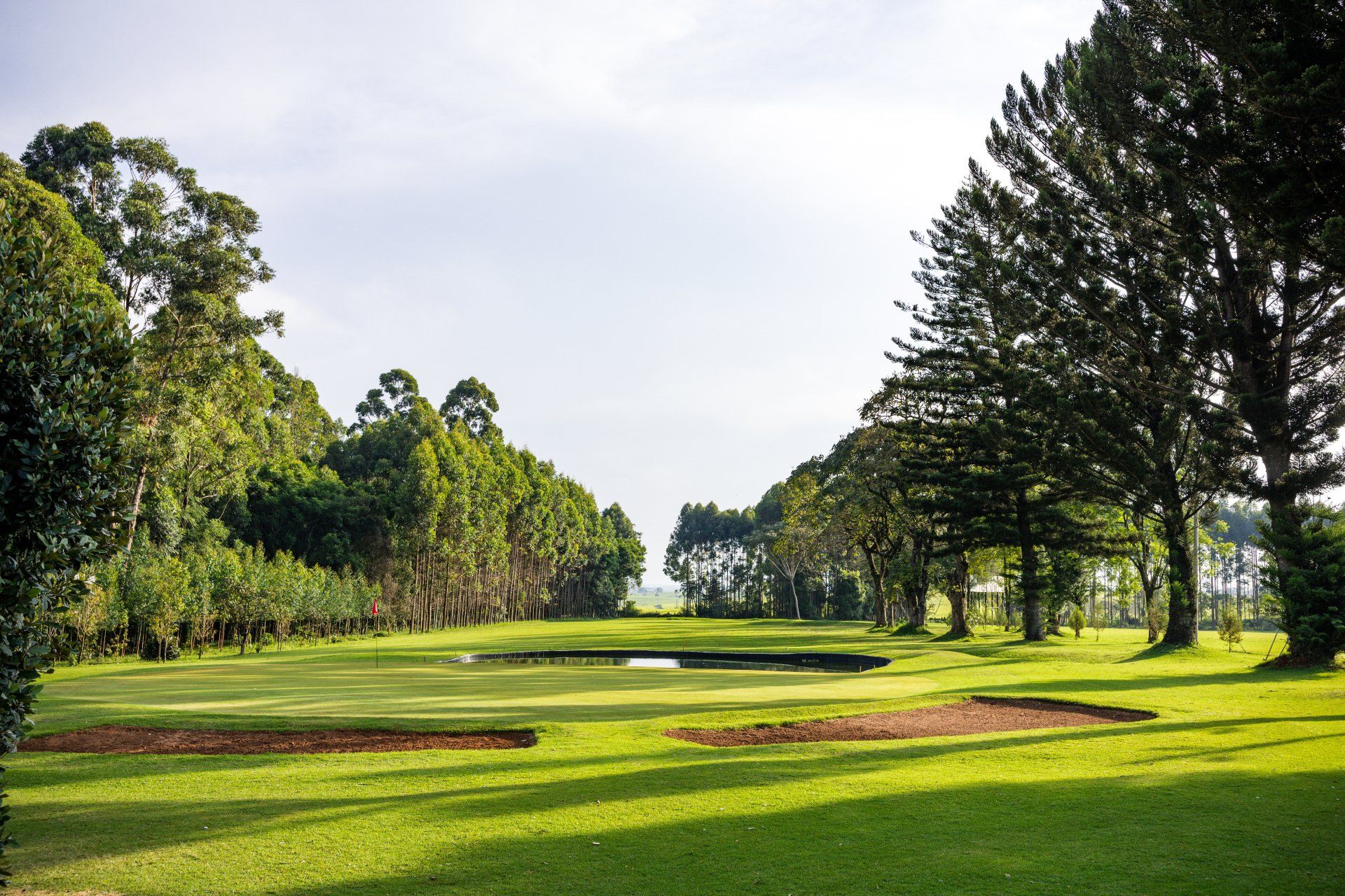 A golf course surrounded by trees and grass on a sunny day