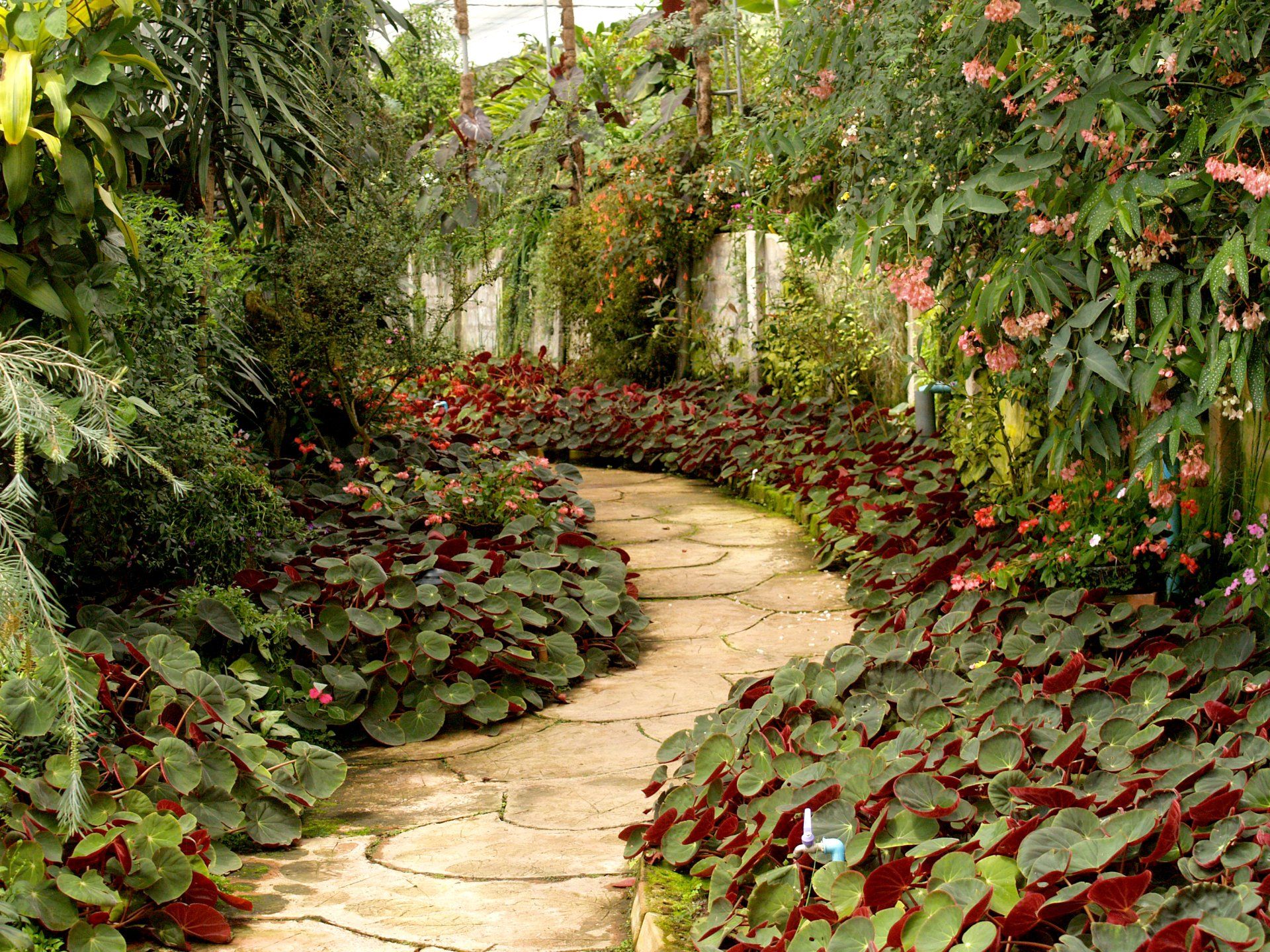 is landscaping hard work