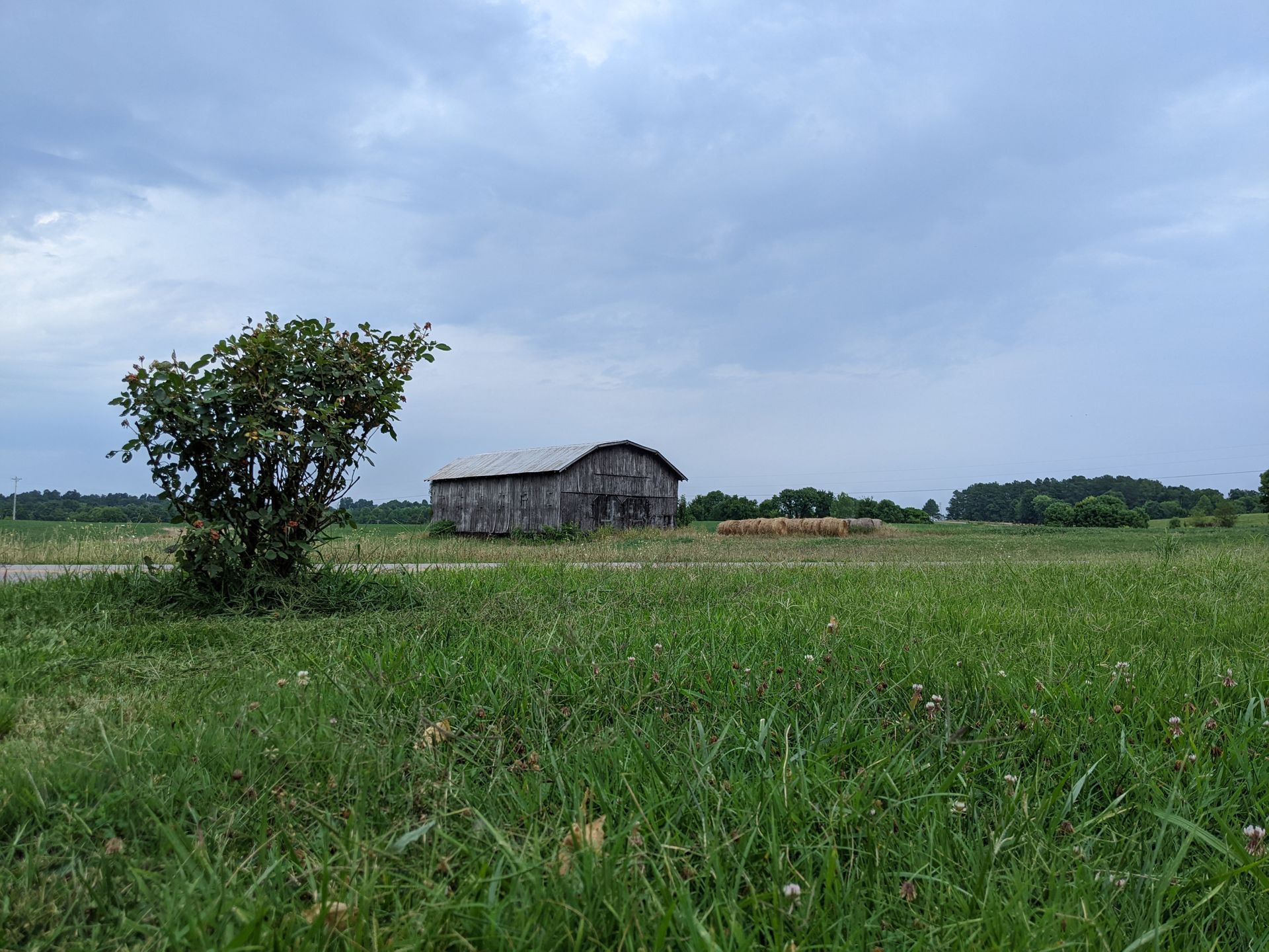 ABA Therapy Services in Kentucky