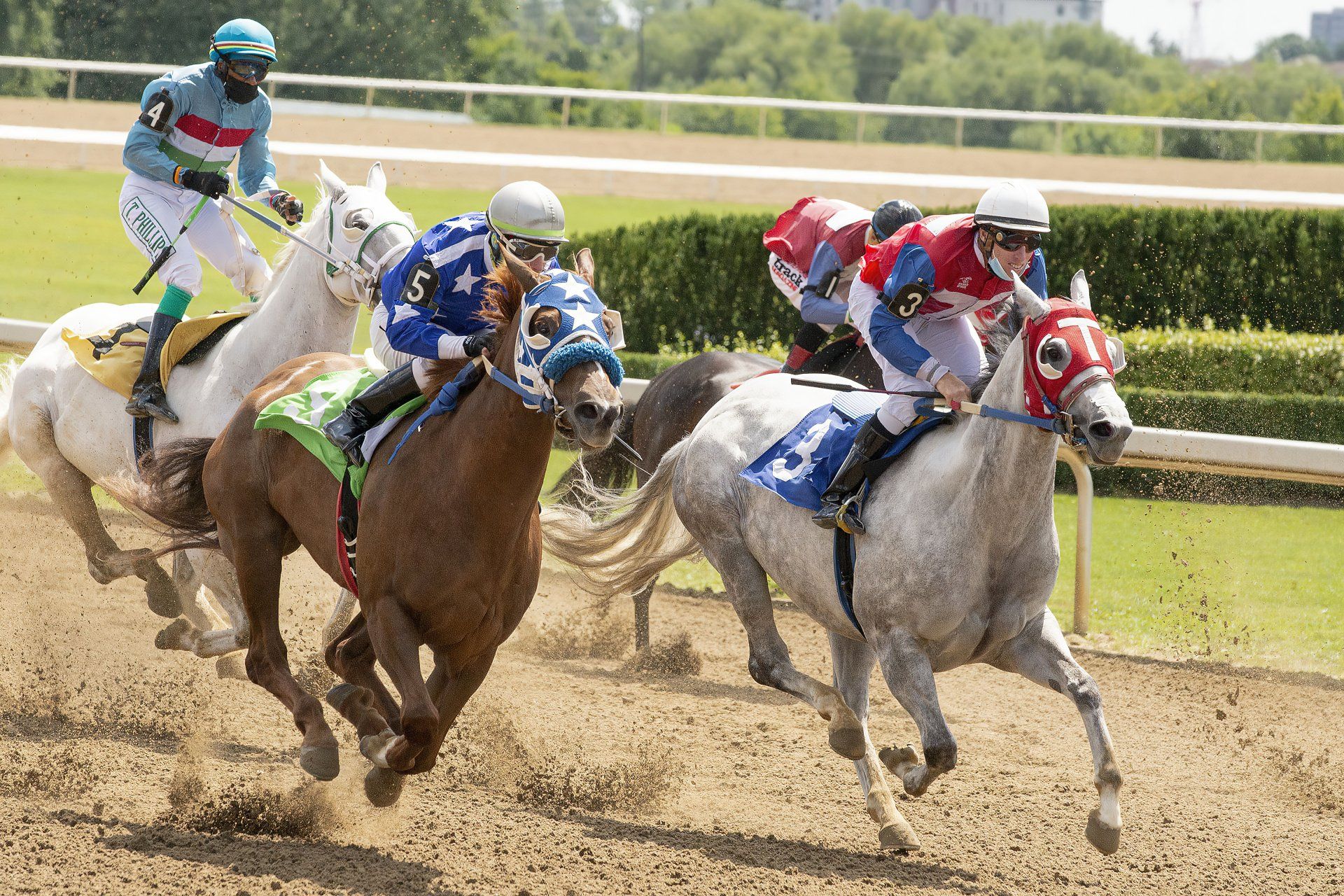 A group of horses are racing on a dirt track.