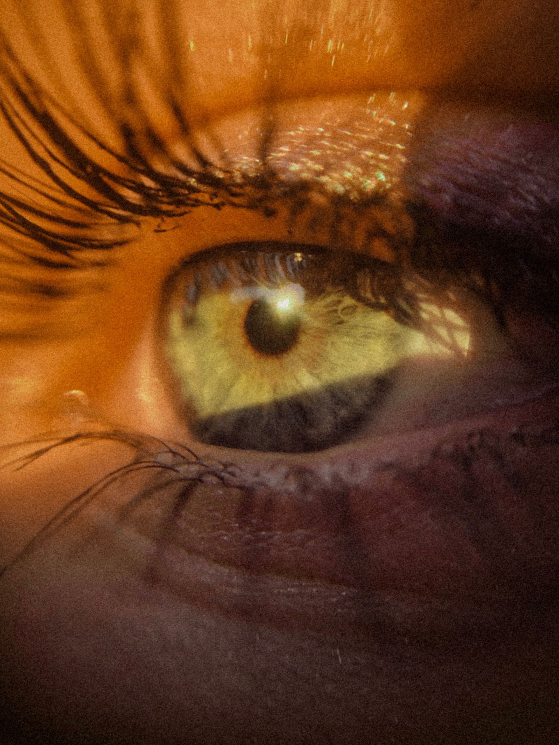 A close up of a woman 's eye with long eyelashes