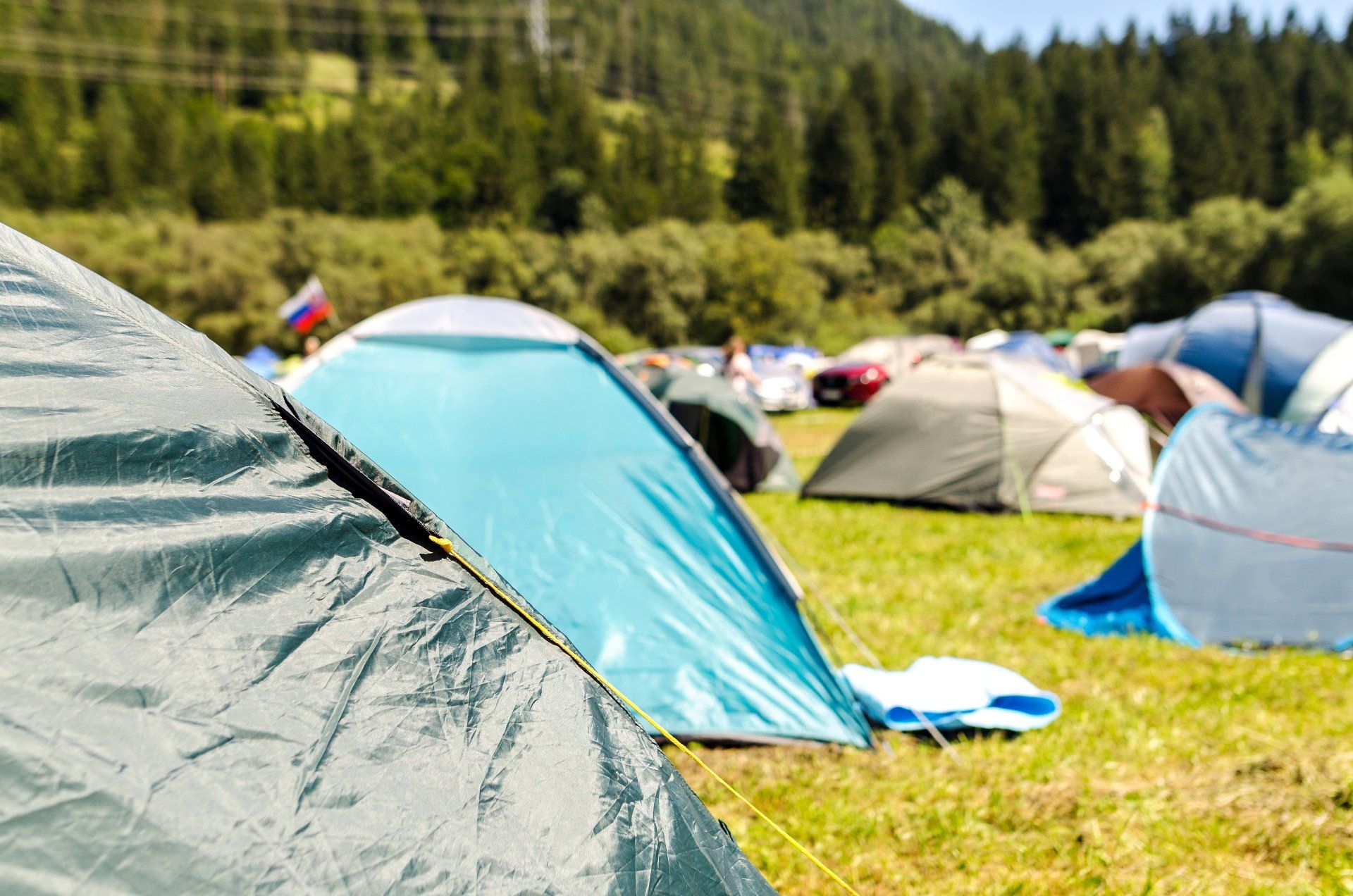 A group of tents are sitting on top of a lush green field.