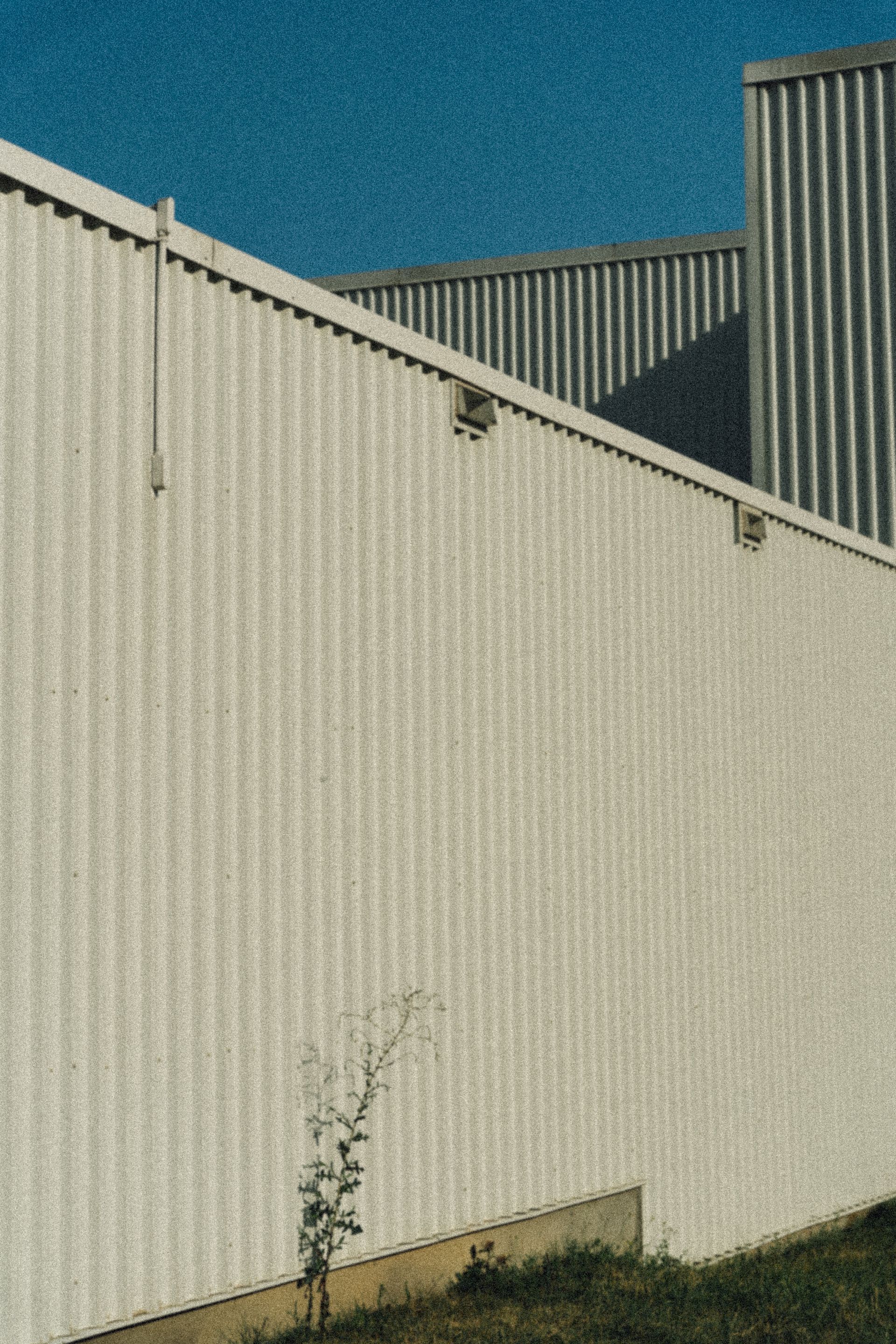Exterior of a white corrugated metal building against a blue sky. A small bush grows in front.