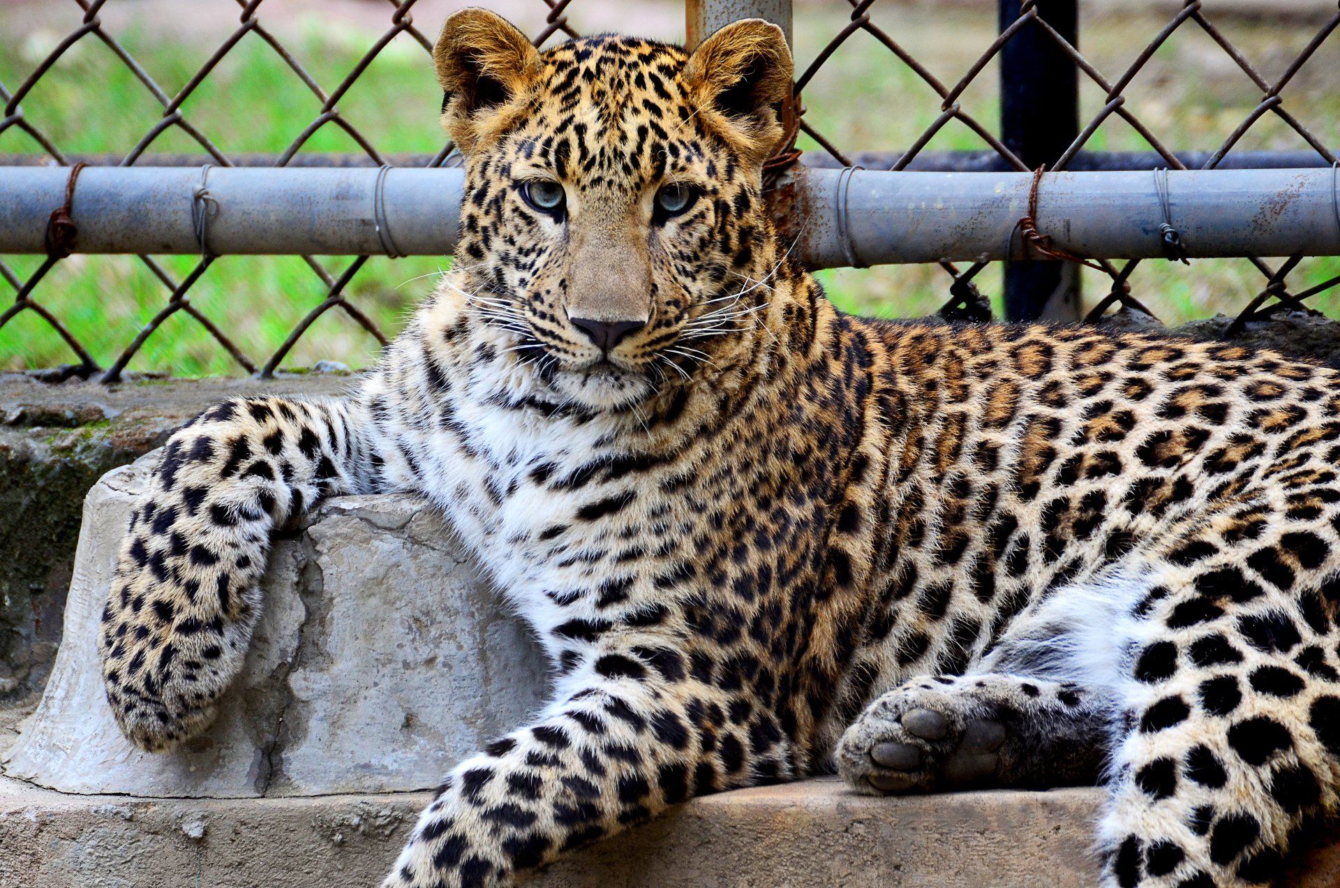 Zoo Miami