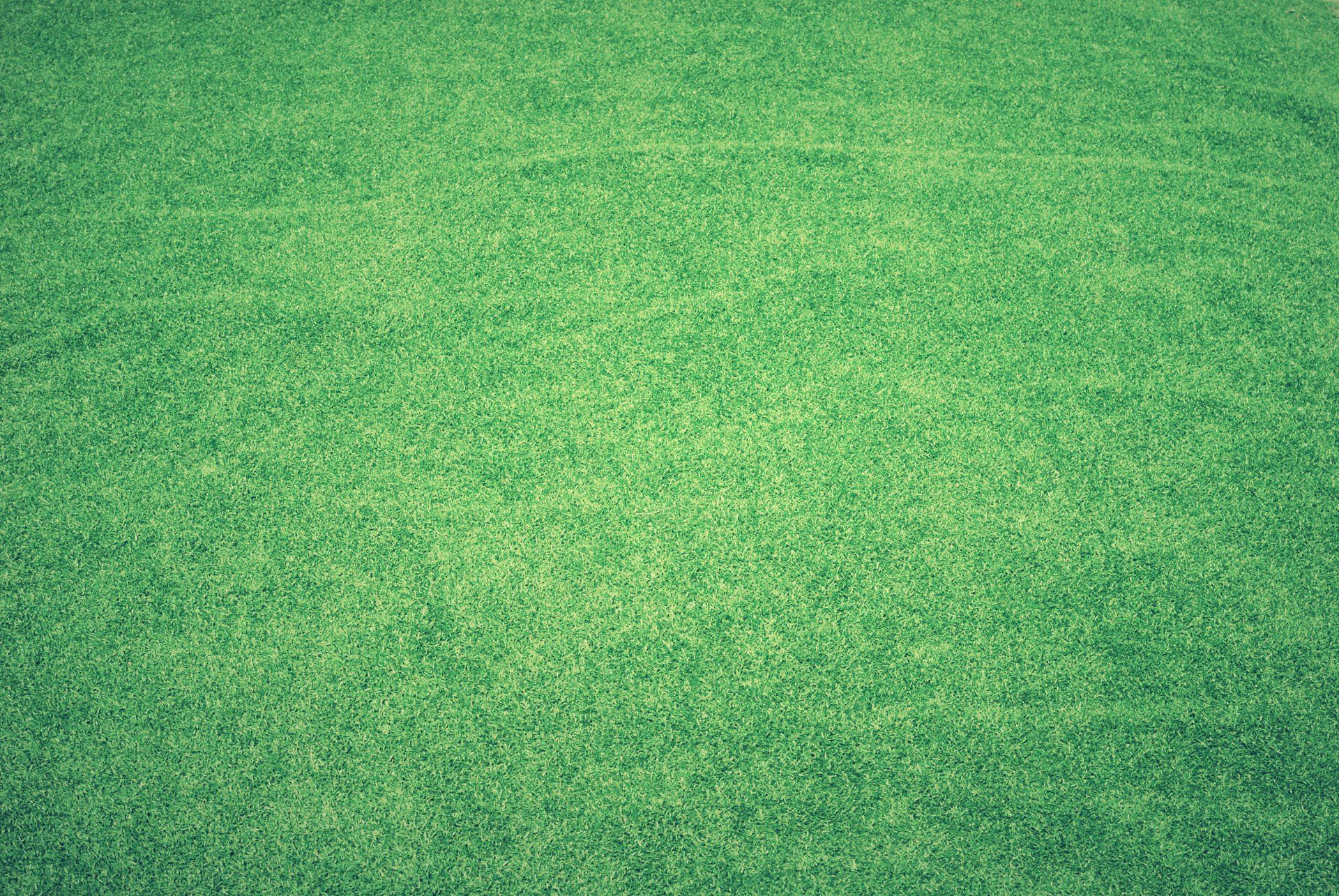 green lawn
