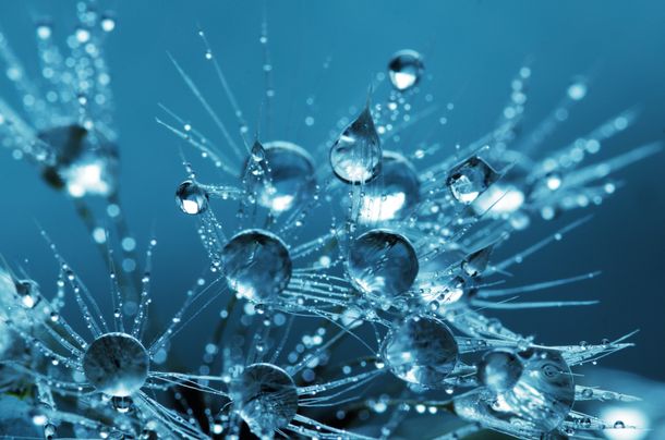 Frozen Water Droplets