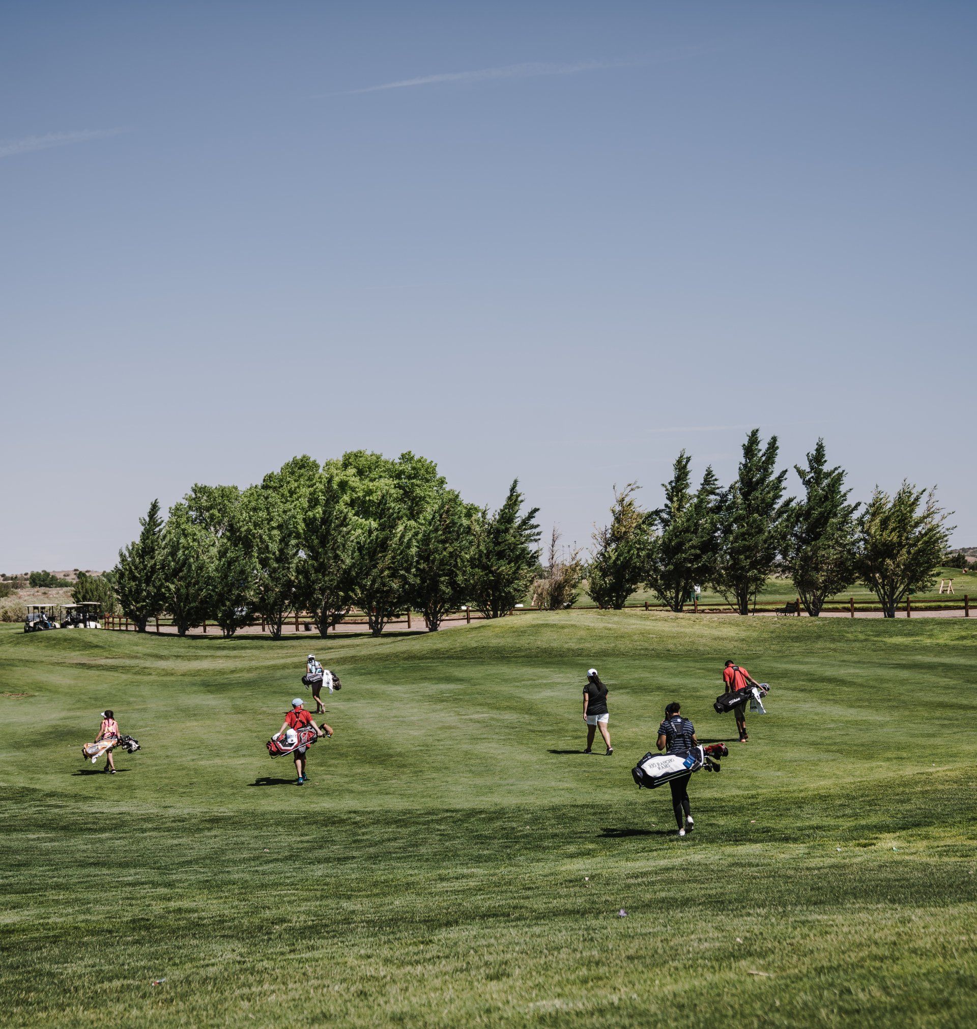Golf course stump removal in Baltimore Maryland