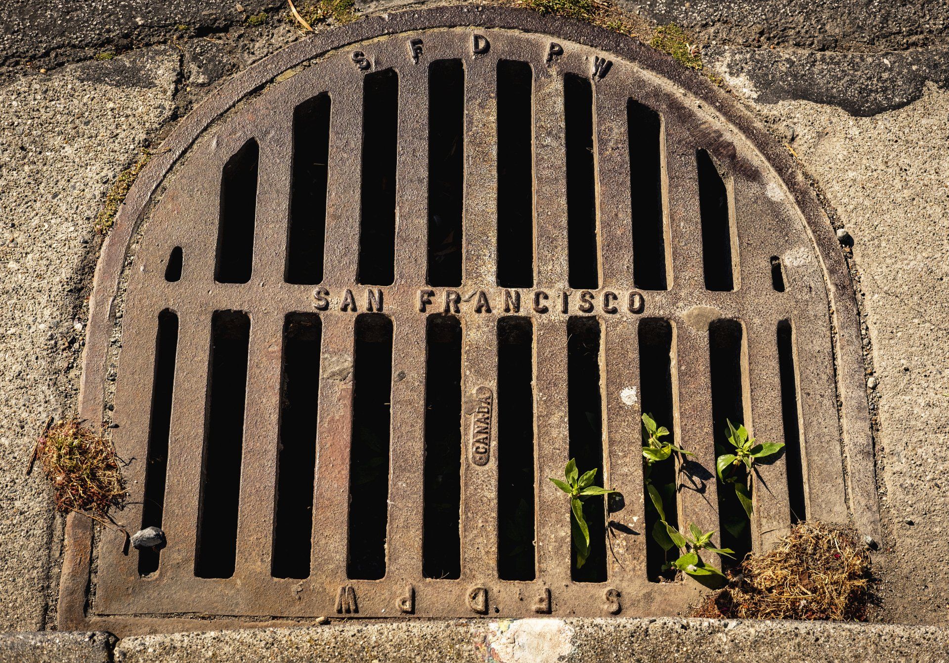 Water Filtration Systems Near You