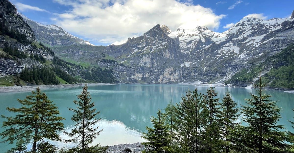 There is a lake in the middle of the mountains surrounded by trees.