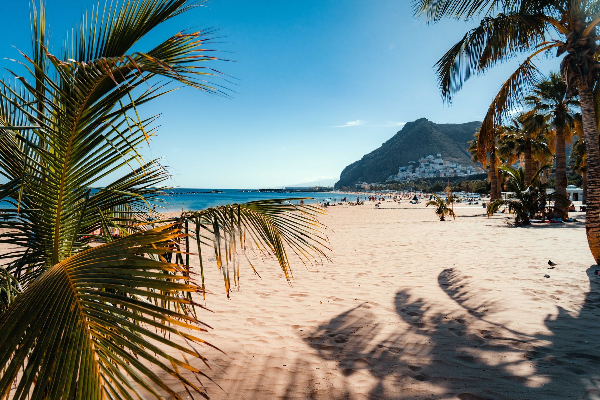 5 Star Tenerife Holidays