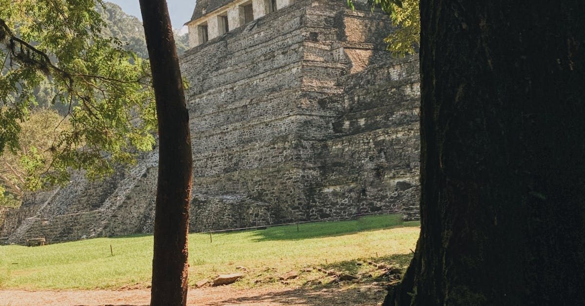 EL DOCTOR DEL TIEMPO