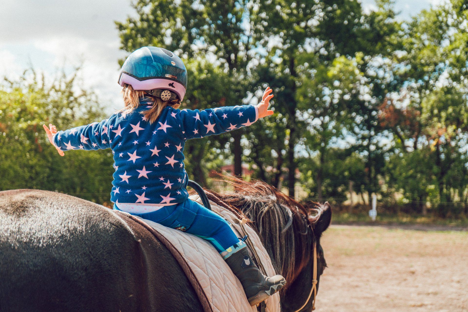 Do a sponsored horse ride to raise money for the Suffolk Punch Trust