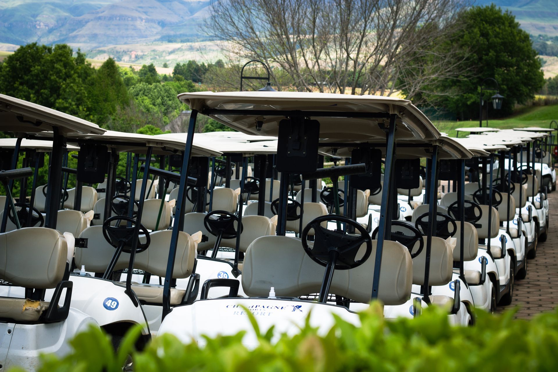 How Much Does a Golf Cart Cost?