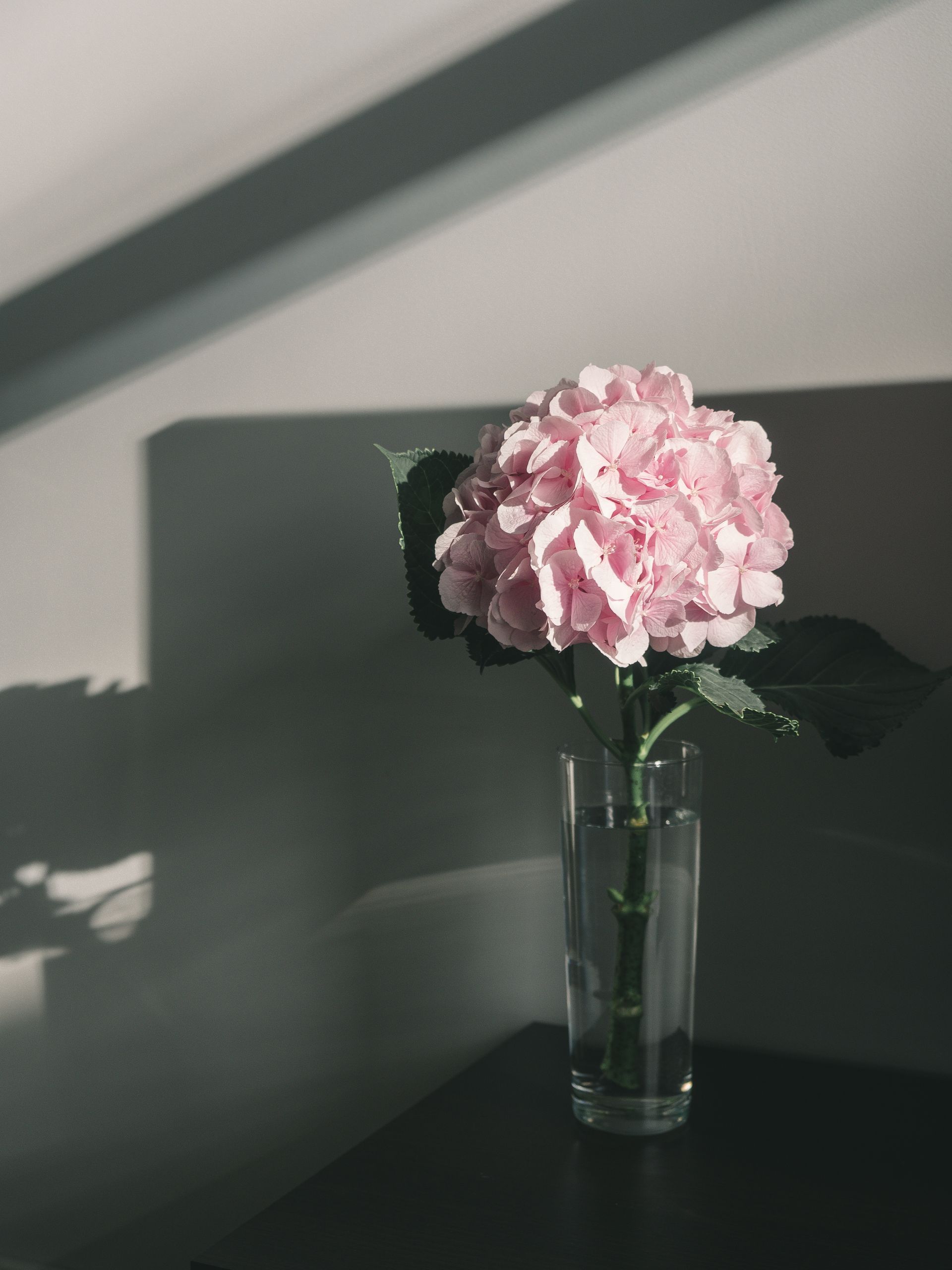 pink hydrangea, DIY flowers