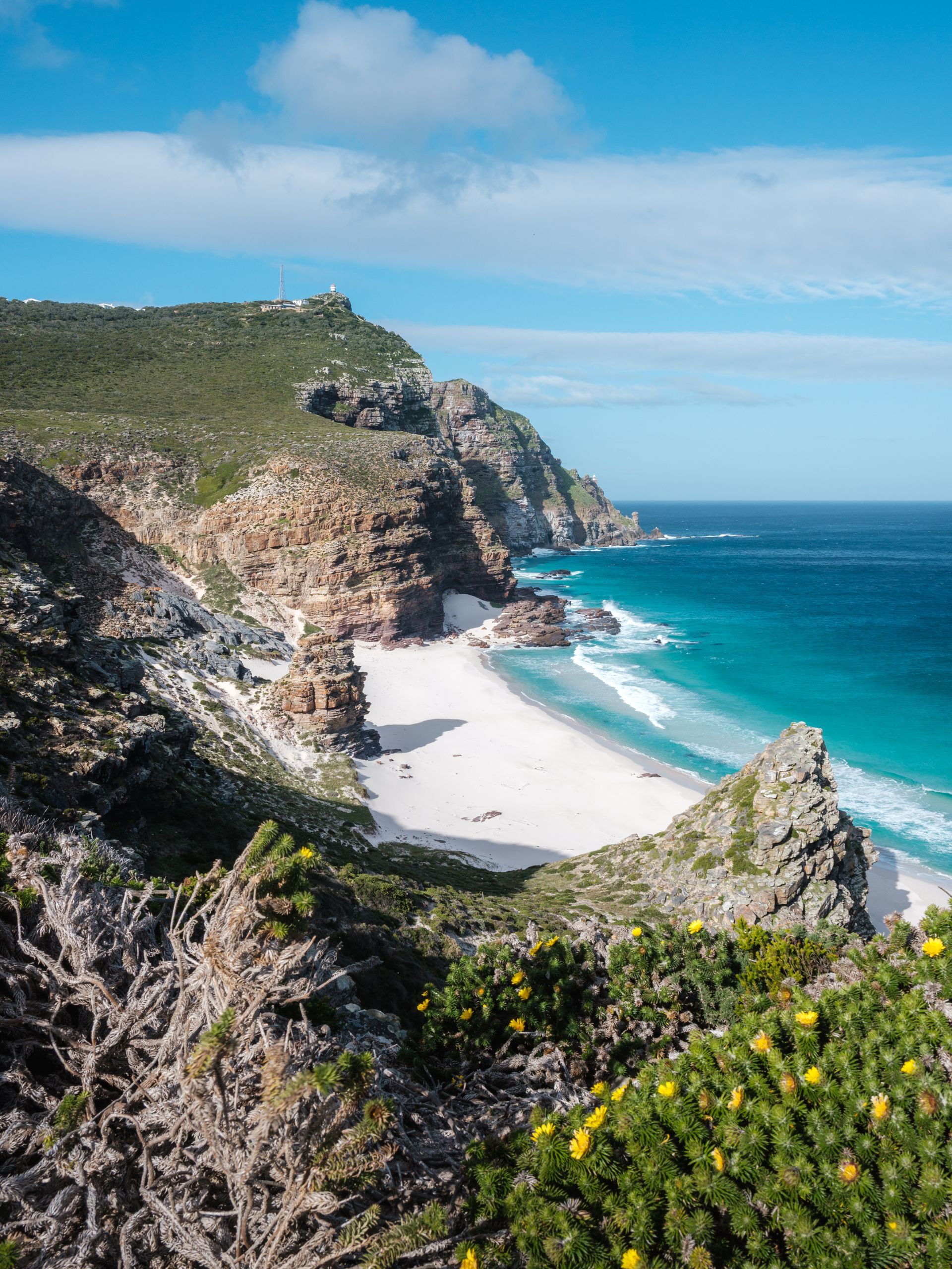 LA PÉNINSULE DU CAP OU LES VIGNES DU CAP