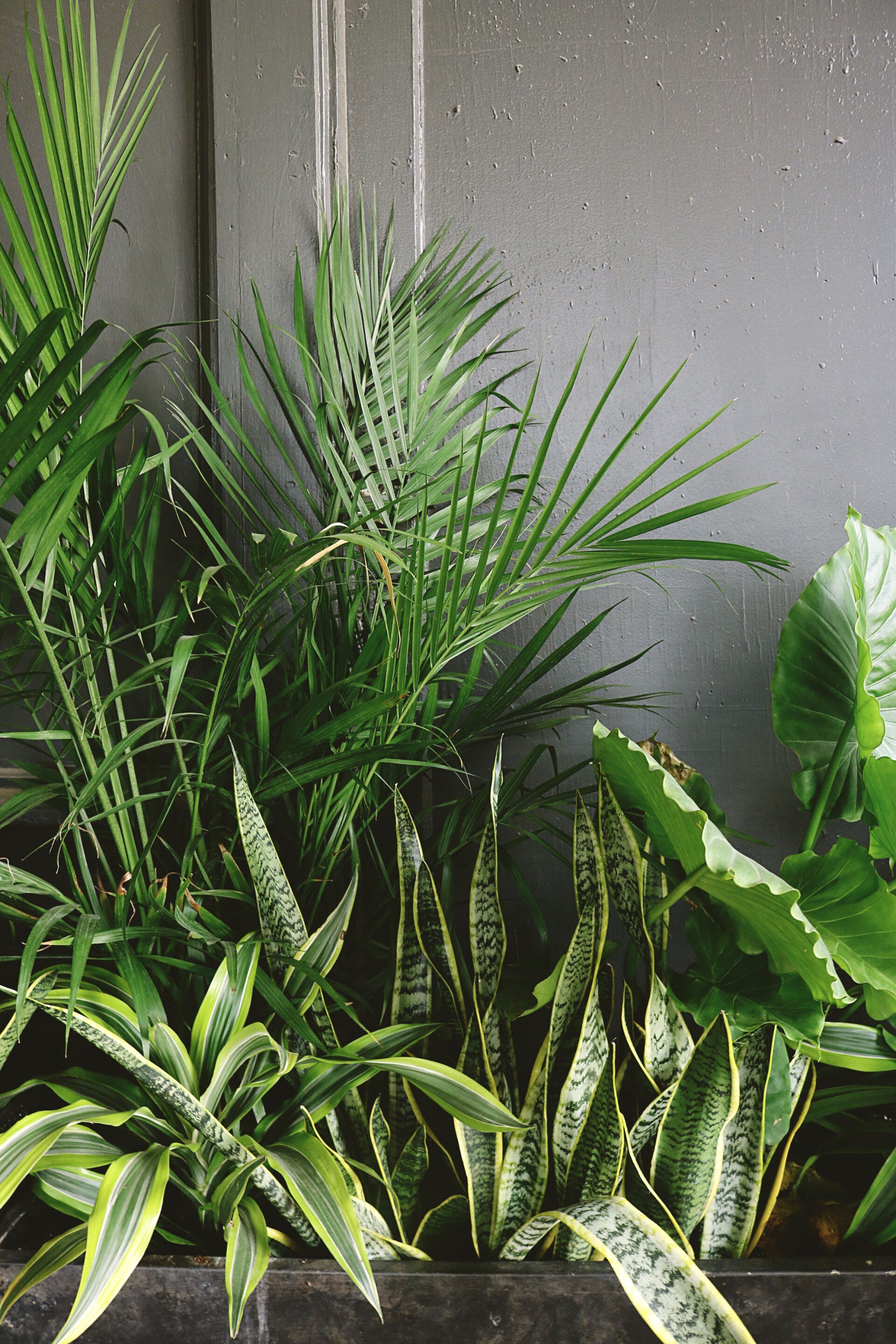 Multi-story Garden Beds & Plantaboxes | Gold Coast Vac Trucks