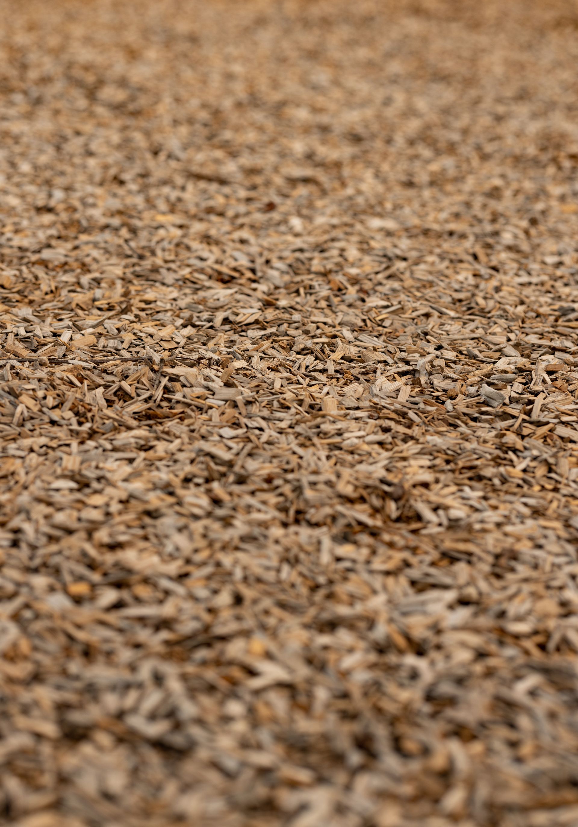 A close up of a pile of wood chips on the ground.