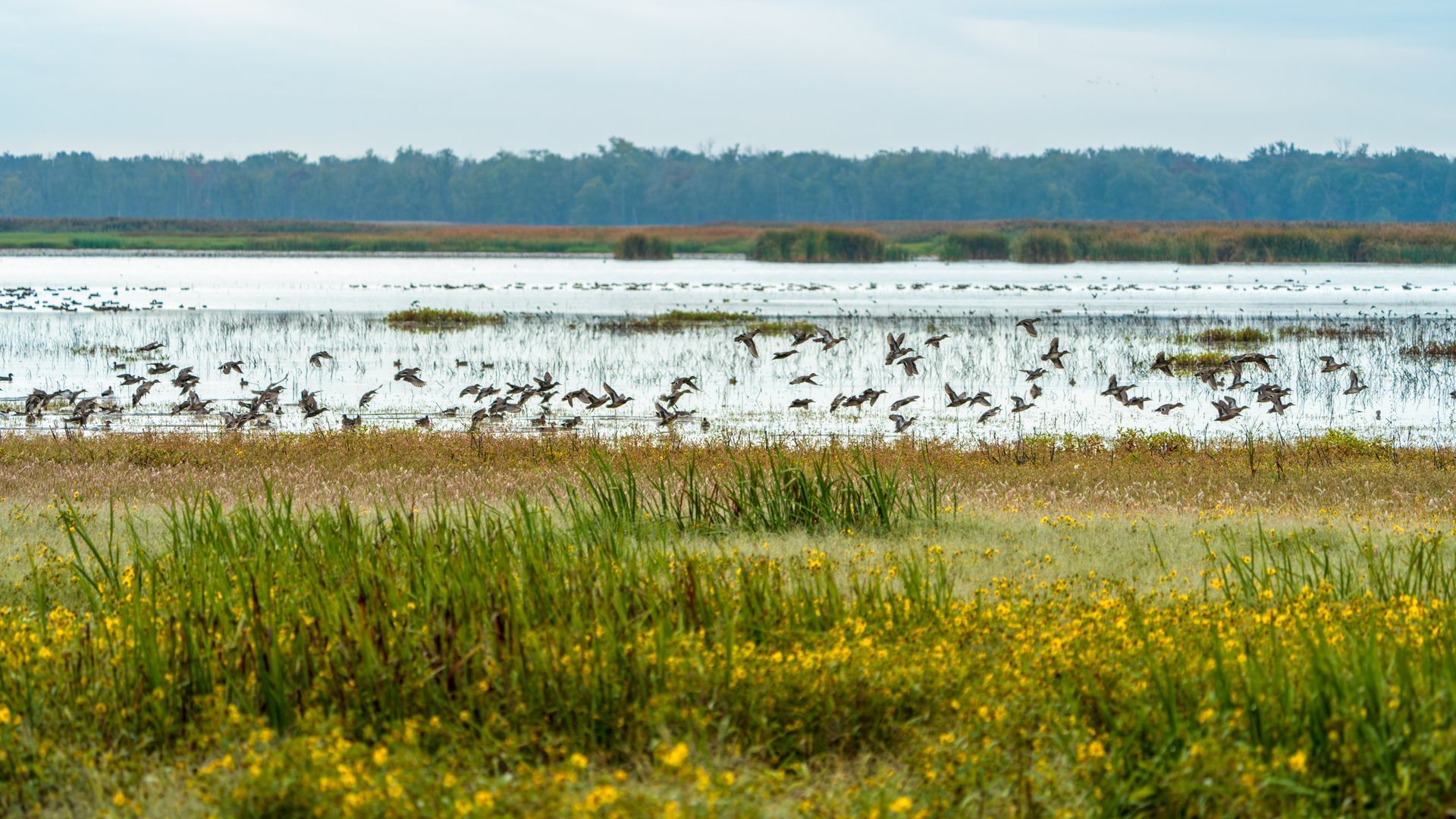 kootenai-national-wildlife-refuge