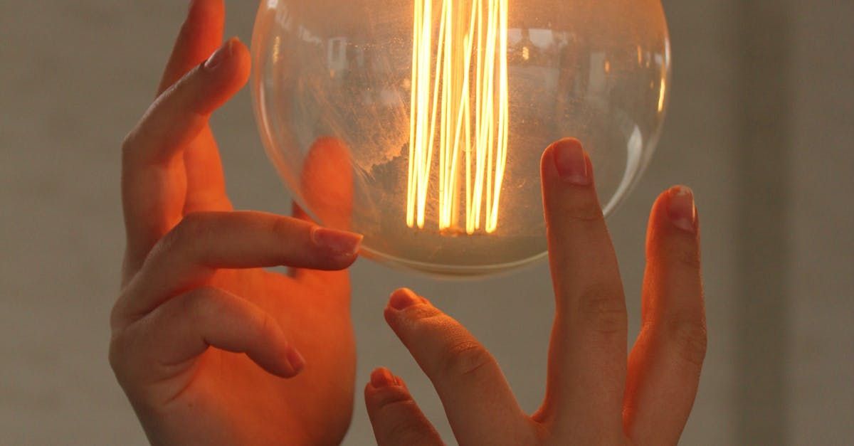 A person is holding a light bulb in their hands.