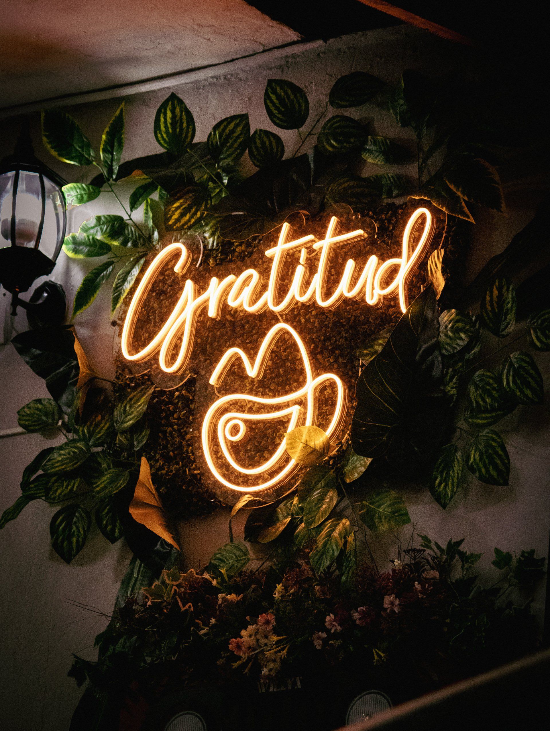 A neon sign that says gratitud is surrounded by plants.