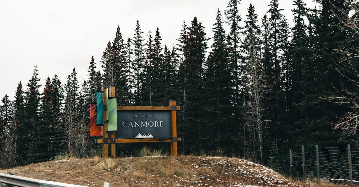 A sign on top of a hill in the middle of a forest.
