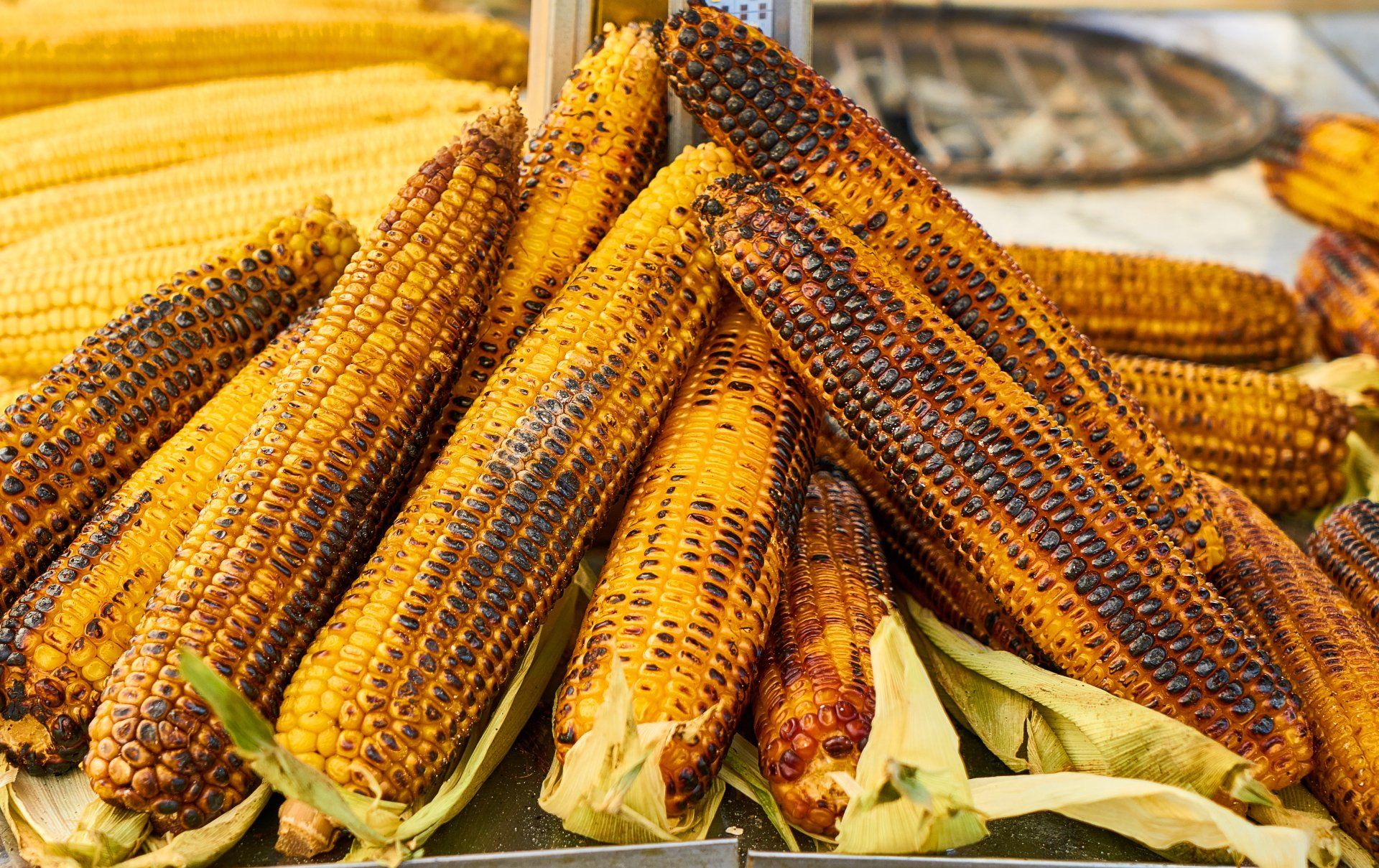 Corn on the Cob Corn on the Cob