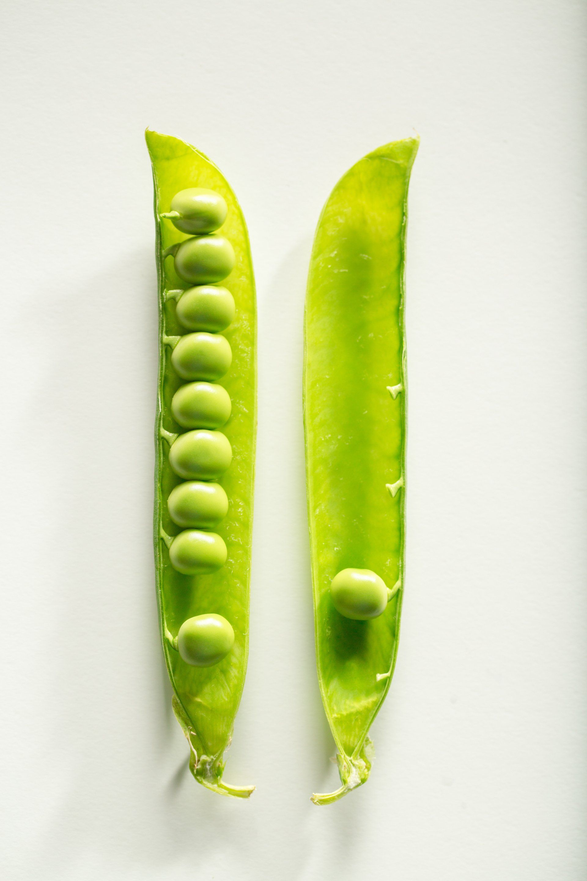 Deux pois verts dans leurs cosses sur fond blanc.