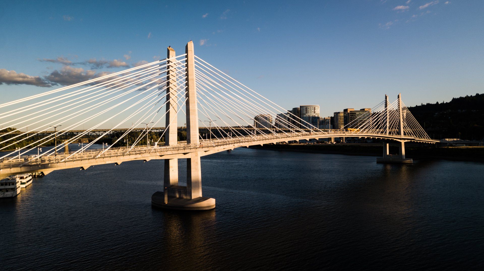 a bridge over a body of water with a city in the background