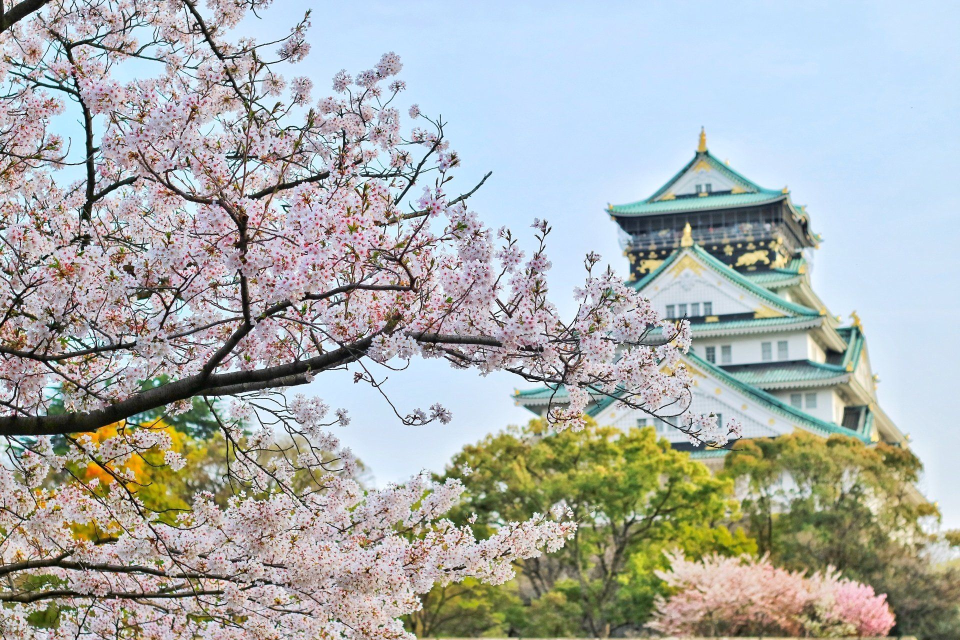 A castle with cherry blossoms in front of it