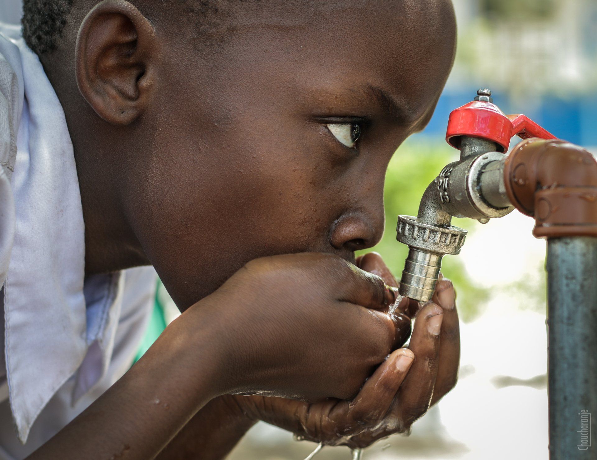 Child drinking water from a tap outdoors, hands cupped under the stream.