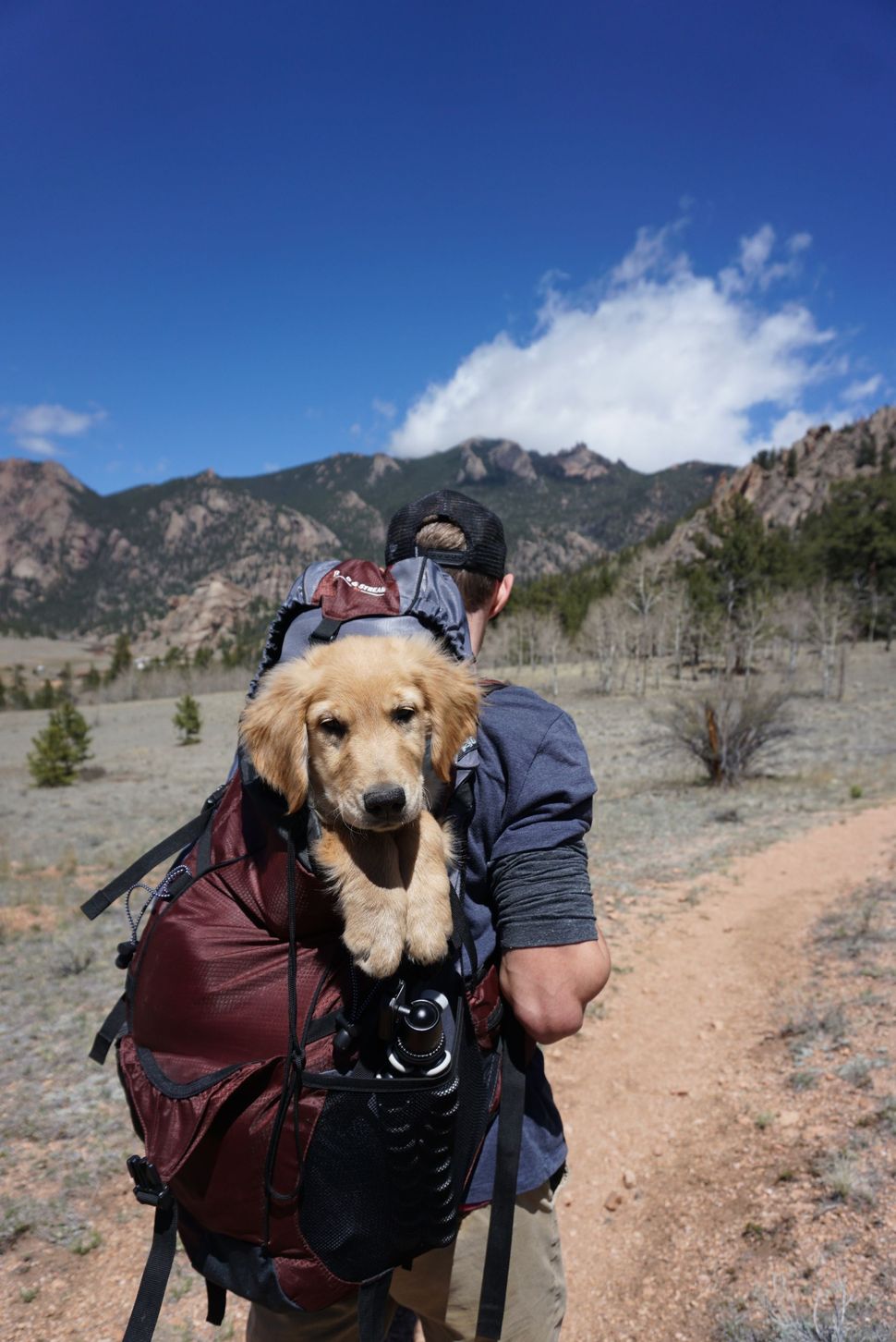 man and dog hiking
