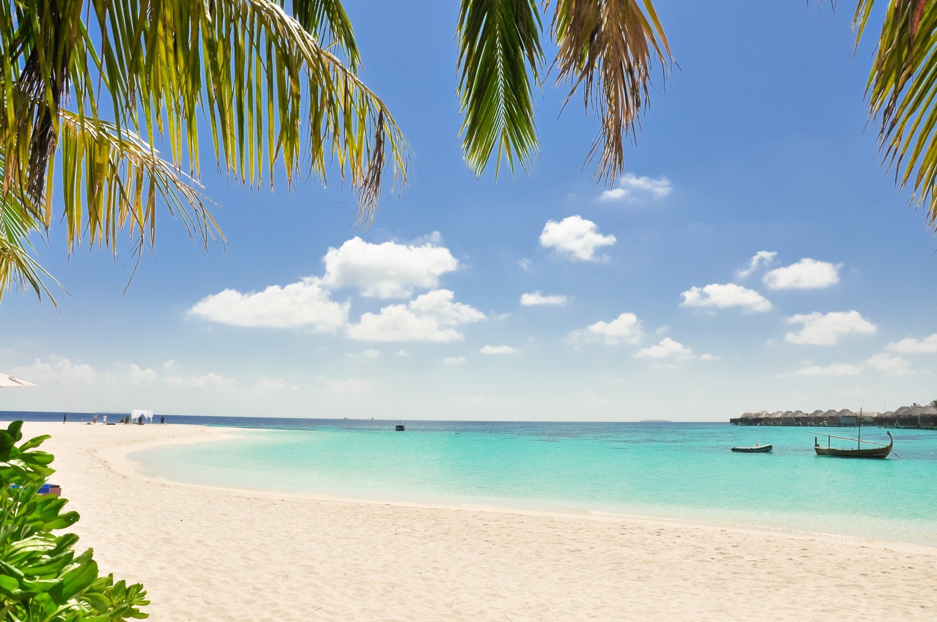 A tropical beach with palm trees and boats in the water.