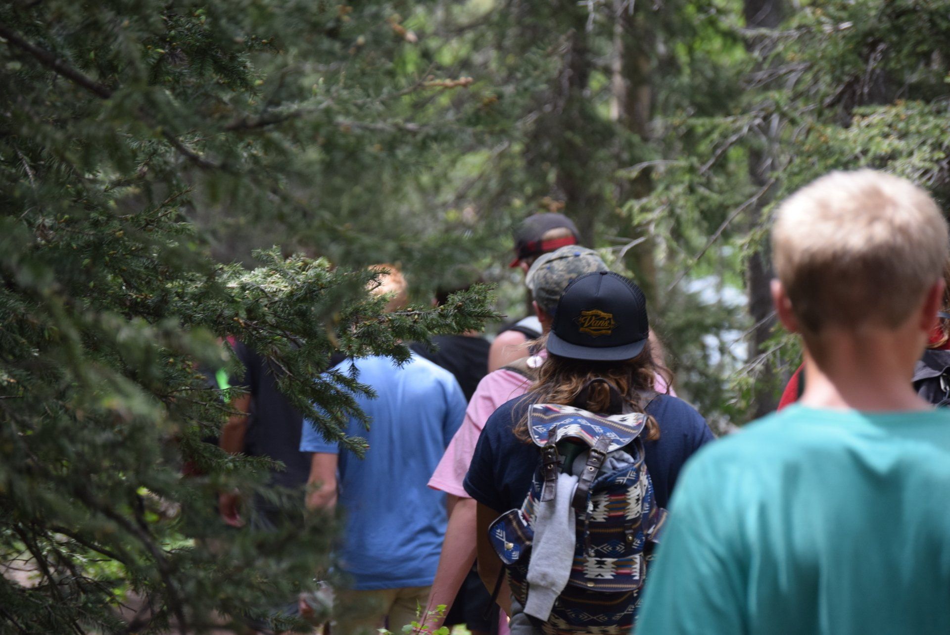 A group of people are walking through a forest.