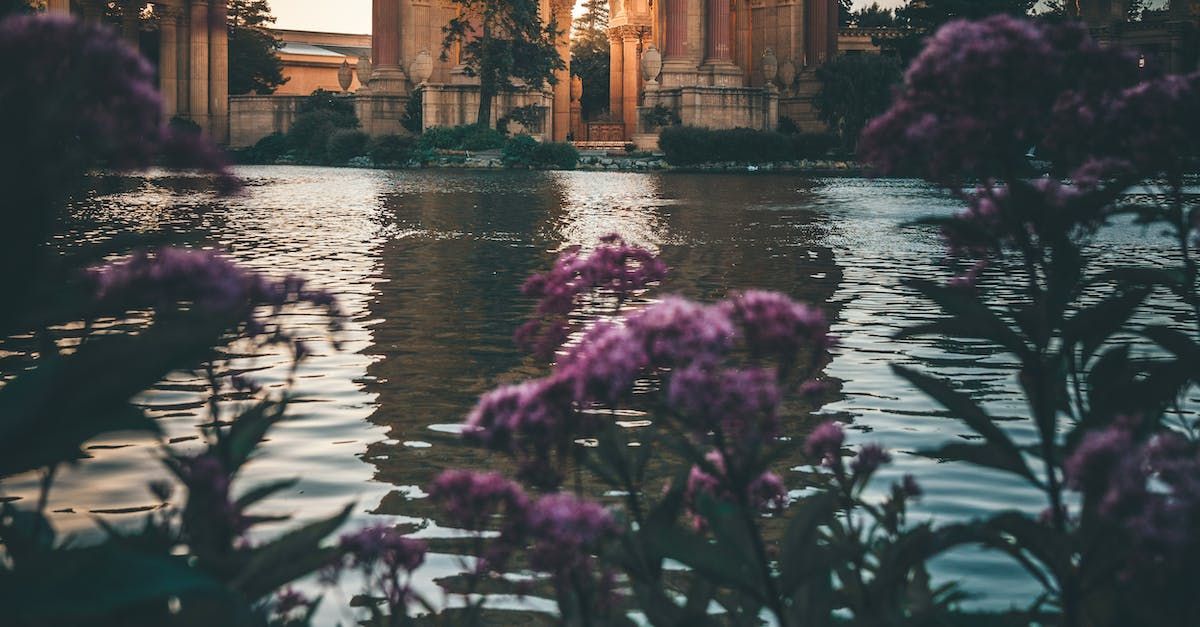 Palace of Fine Arts