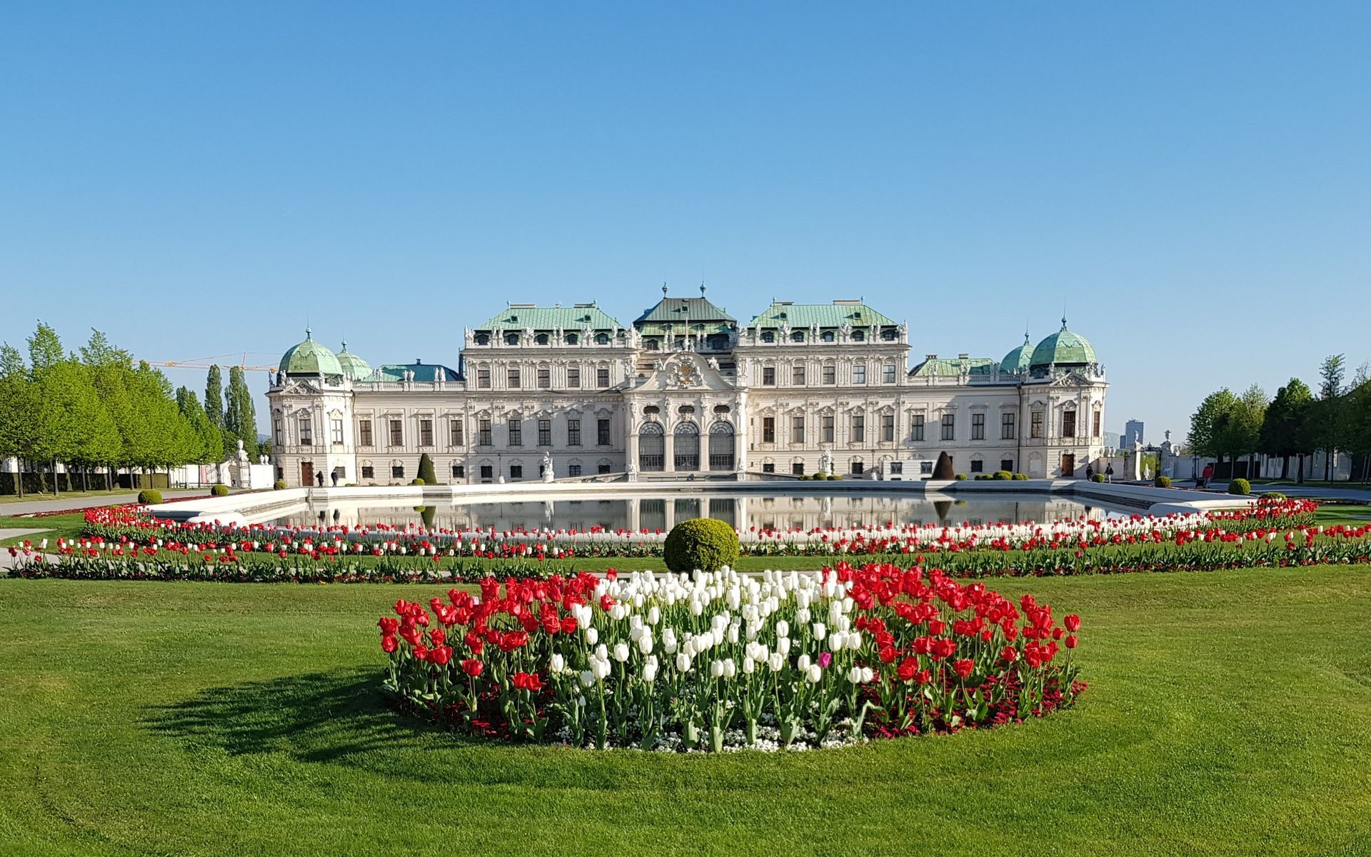 Schloss Belvedere in Wien mit barockem Schlossgarten, Spiegelbecken und blühenden roten und weißen Tulpen im Vordergrund.