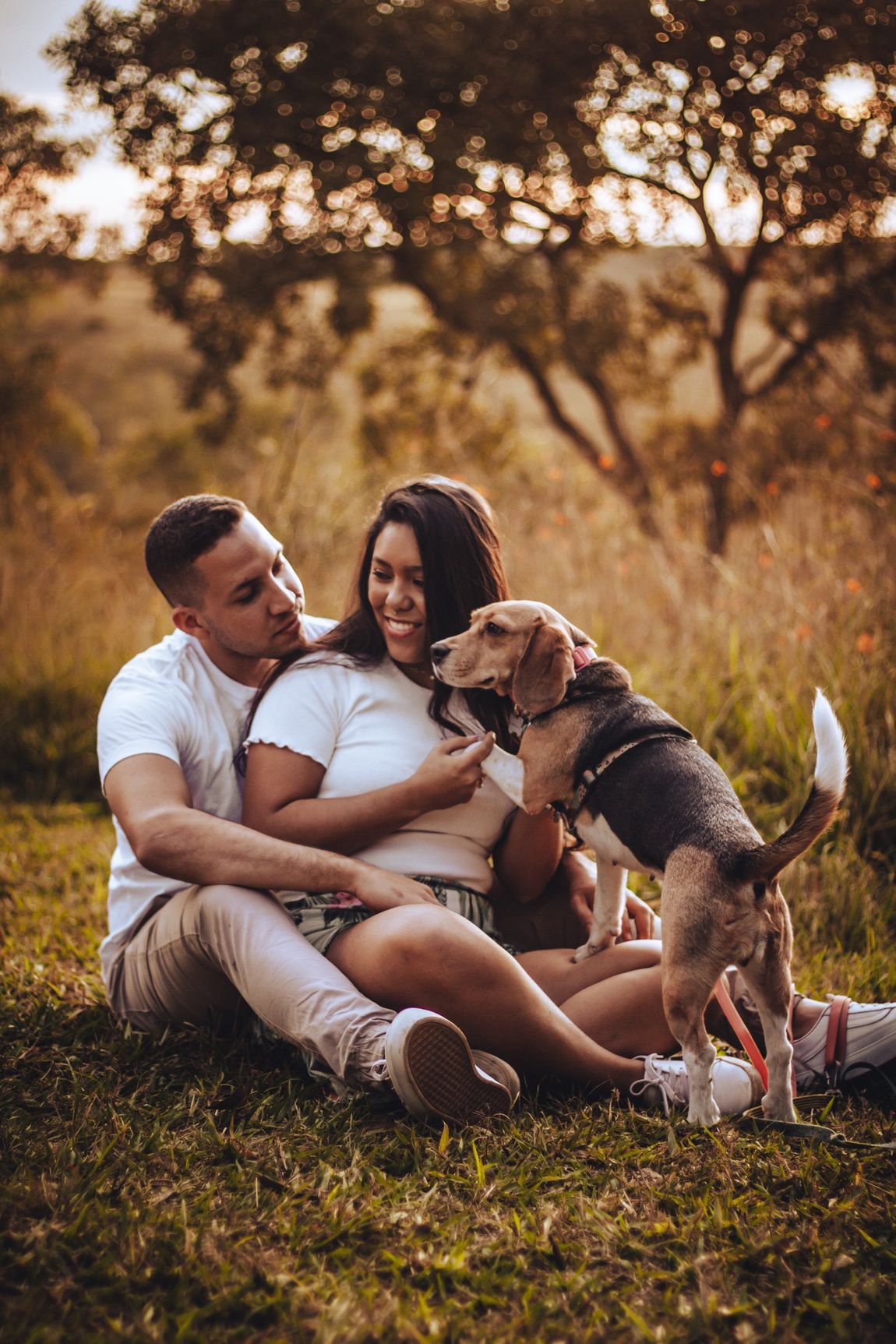 Couple sitting in grass, smiling at a dog. Sunset, golden light.