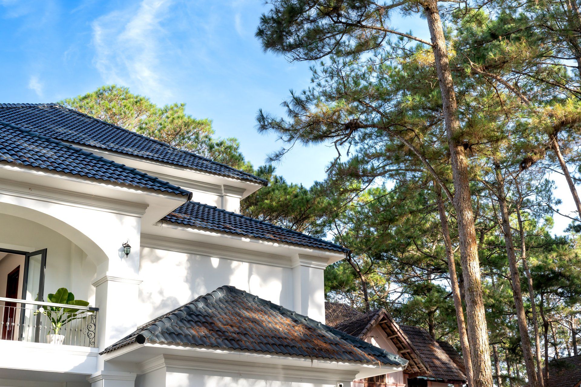 White house with dark blue roof beside tall pine trees under a clear sky