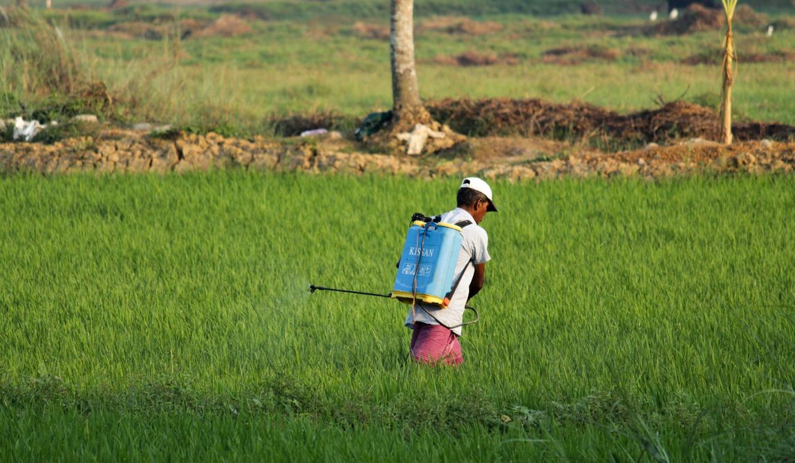 Pest control technician spraying yard with herbicides