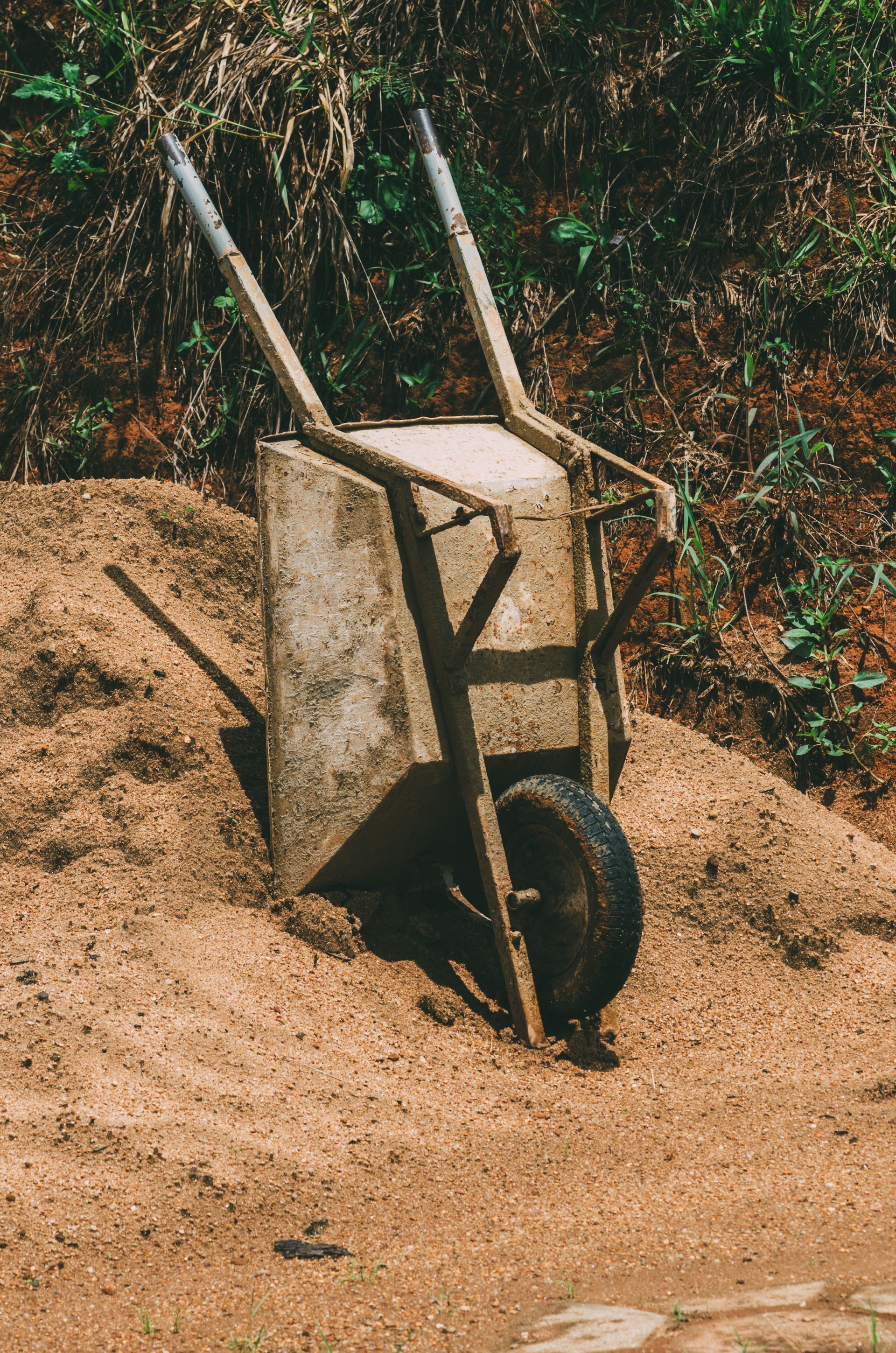 A wheelbarrow emptying mulch
