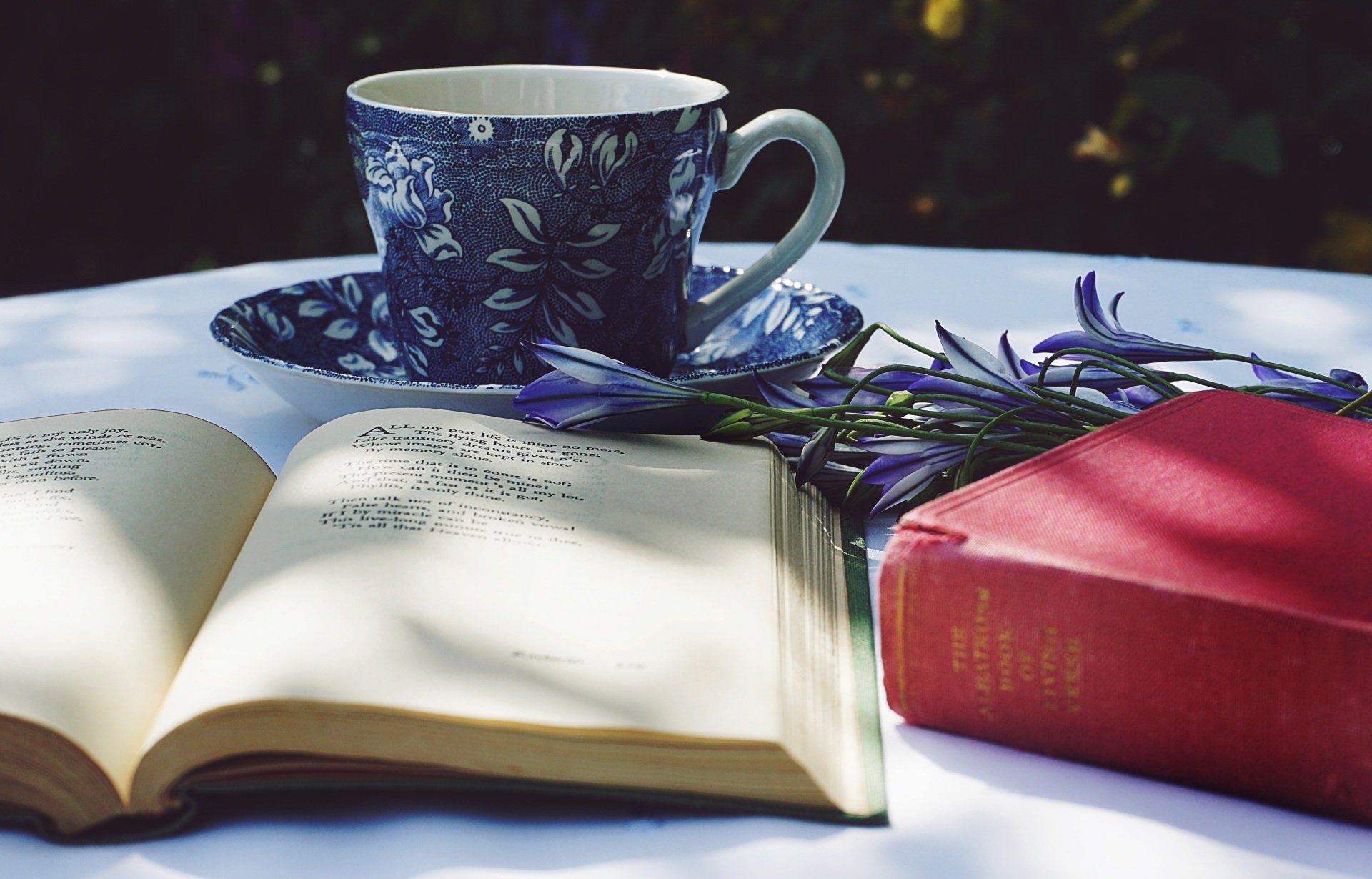 Reading for Health by Sue Cartwright, Spiral Leaf