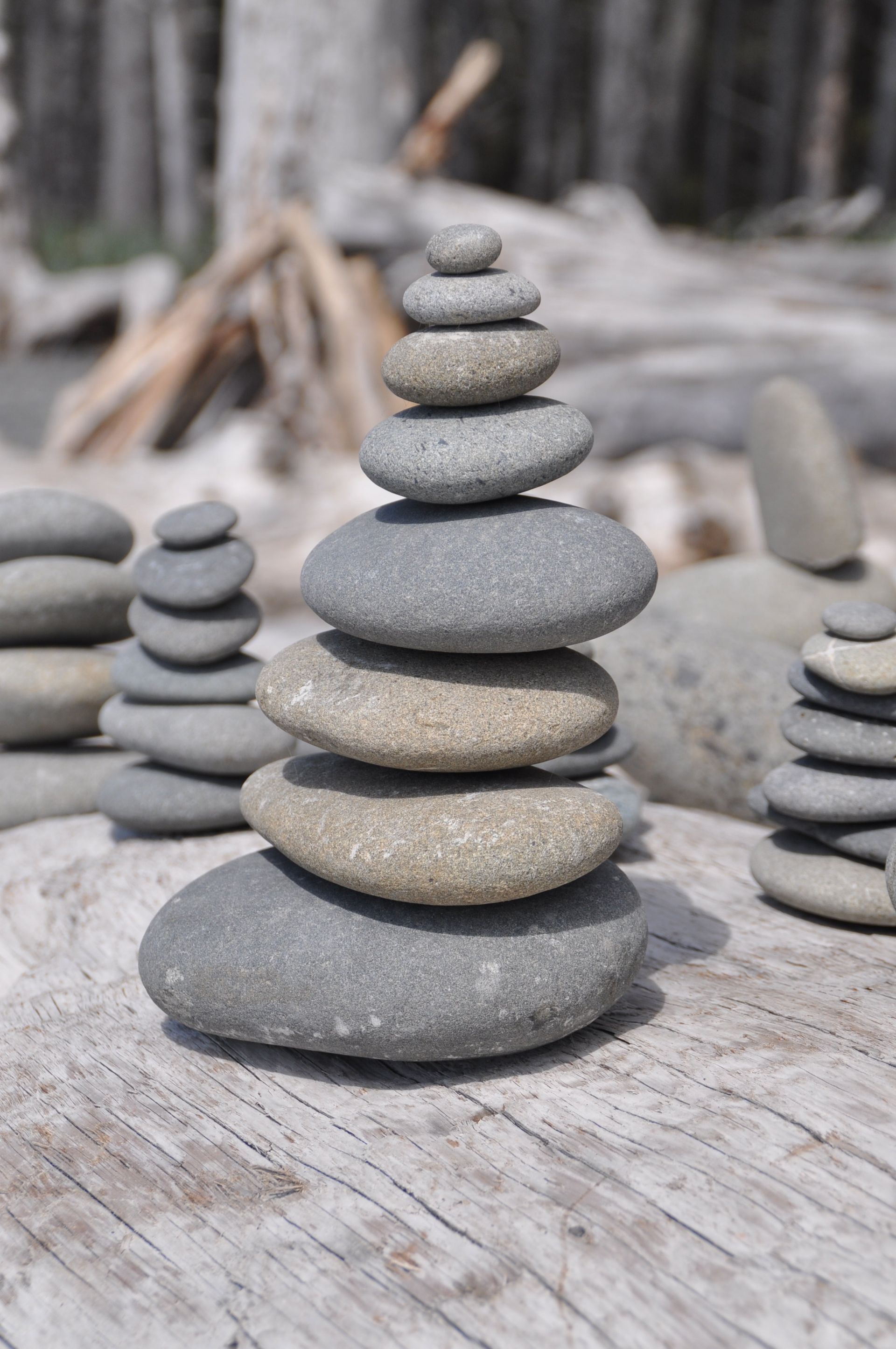 Natural Pursuits by Sue Cartwright, Spiral Leaf