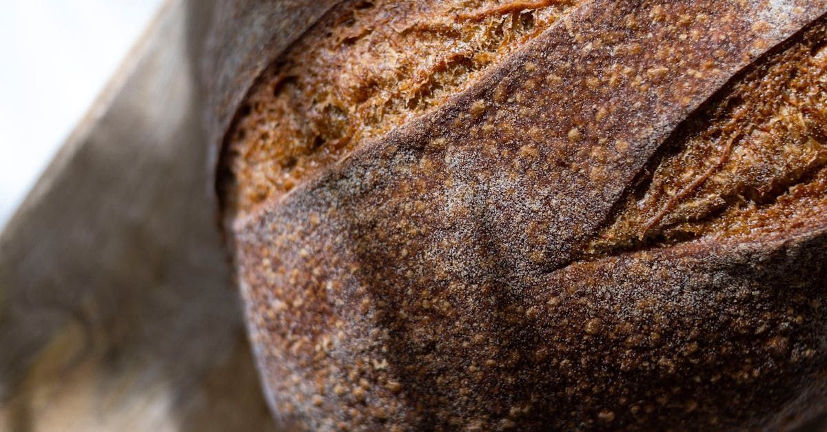 Dubbele Trappist Bierbrood Dubbele Trappist Bierbrood