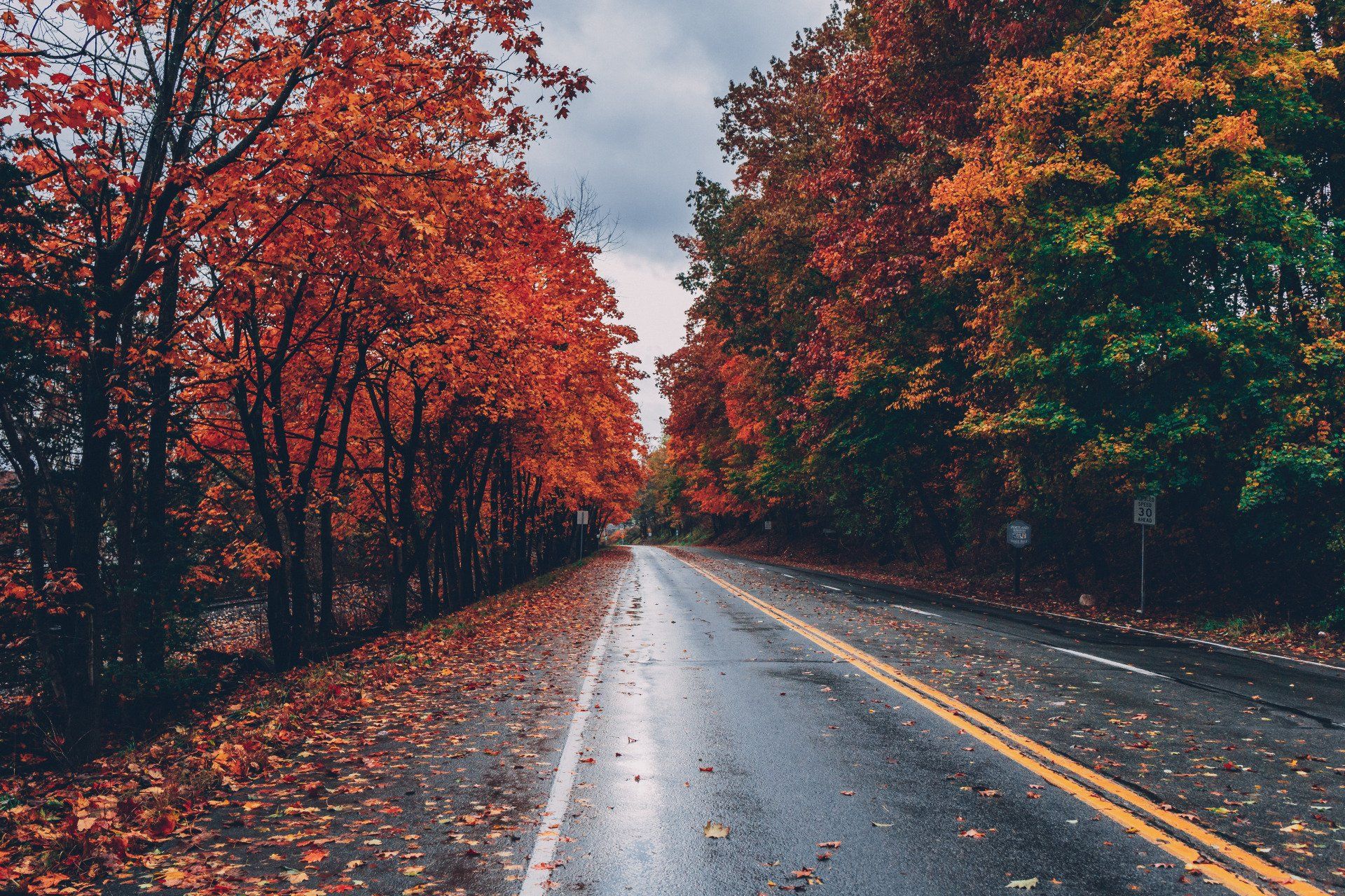 Fall in Love with the County side of the Shawnee National forest. Southern Illinois
