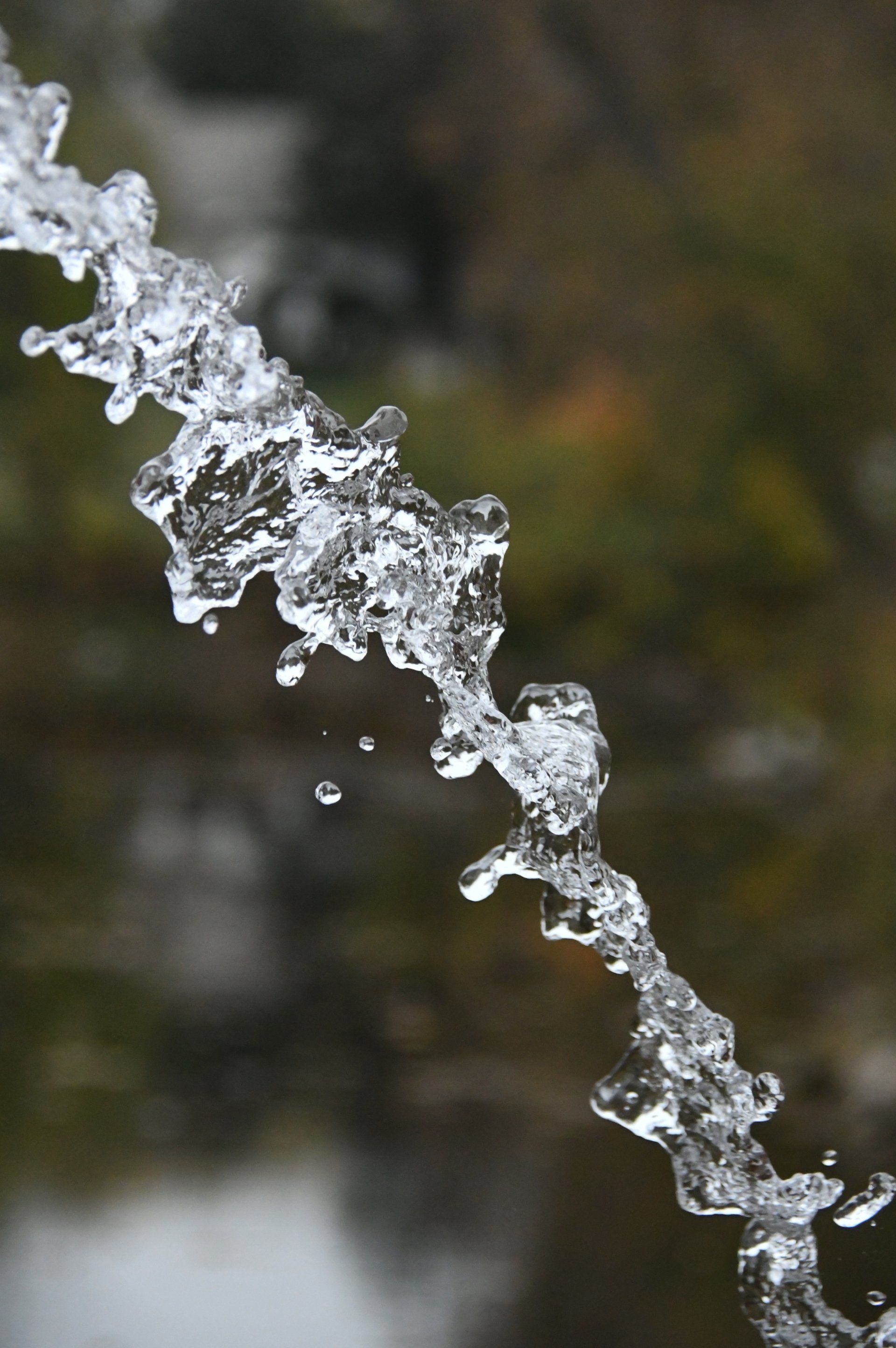 Finding our Spoken Voice by Sue Cartwright, Spiral Leaf
